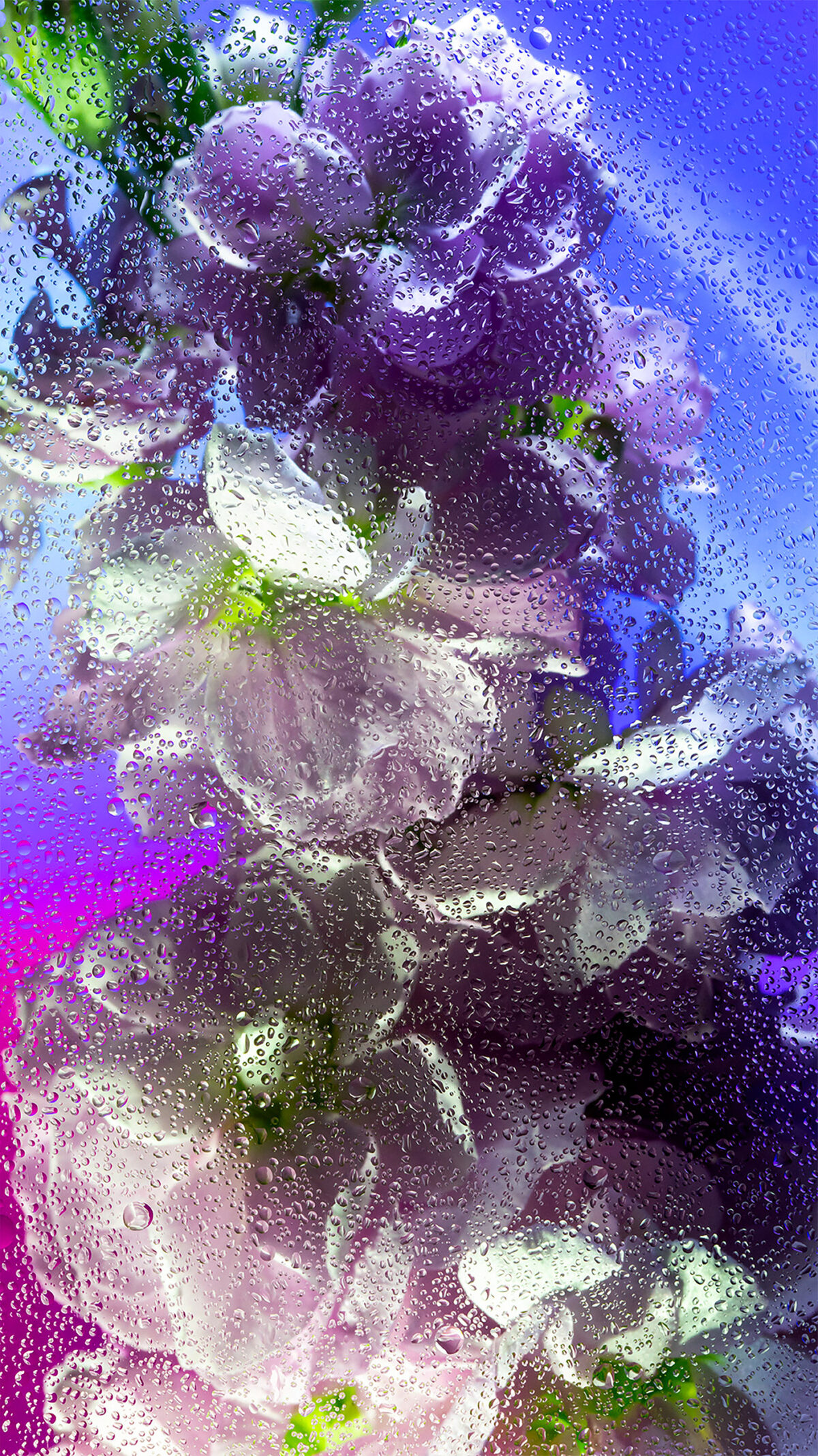 Inside A Gorgeous Floral Photography Series By Davy Evans (13)