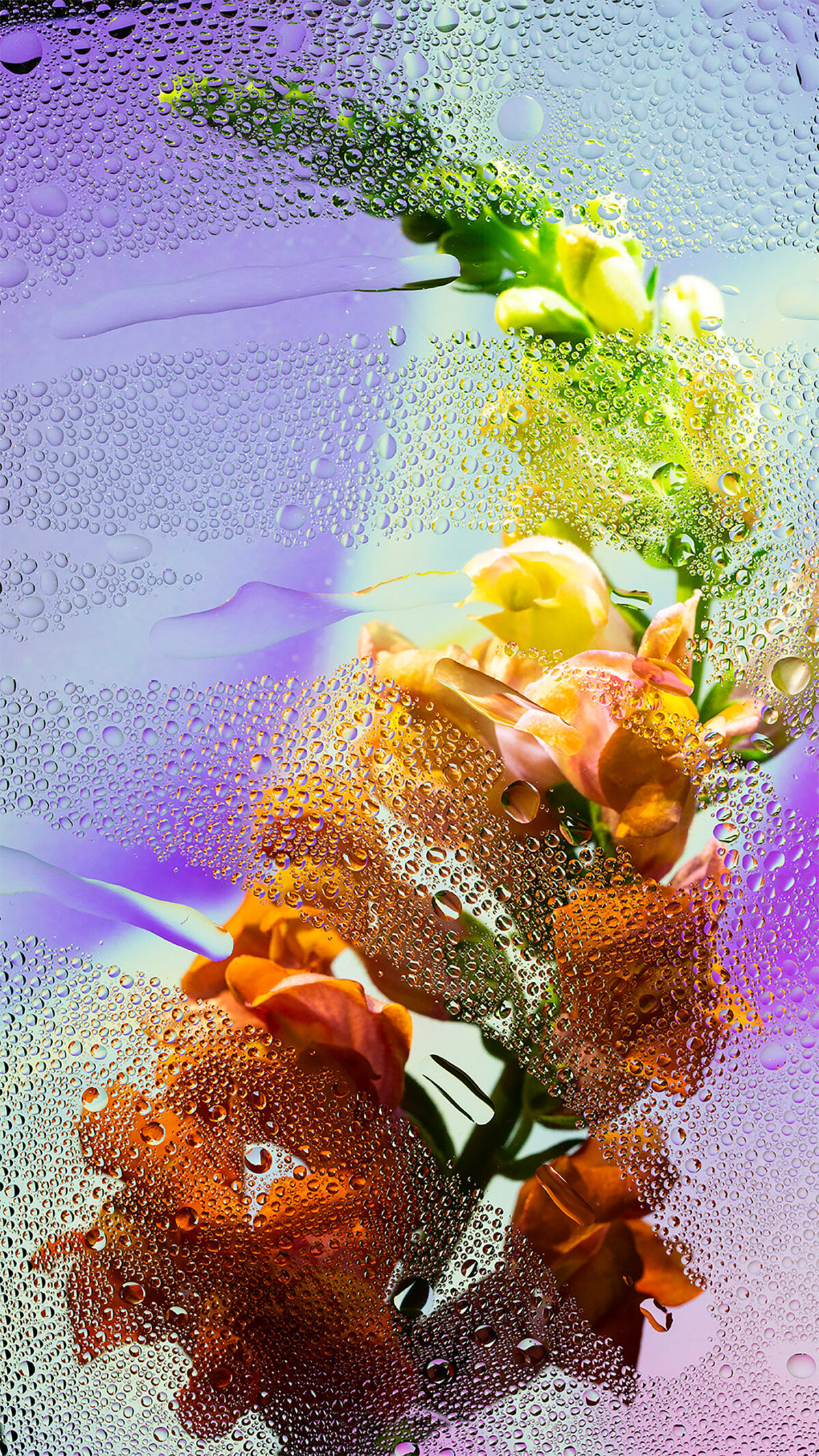 Inside A Gorgeous Floral Photography Series By Davy Evans (14)