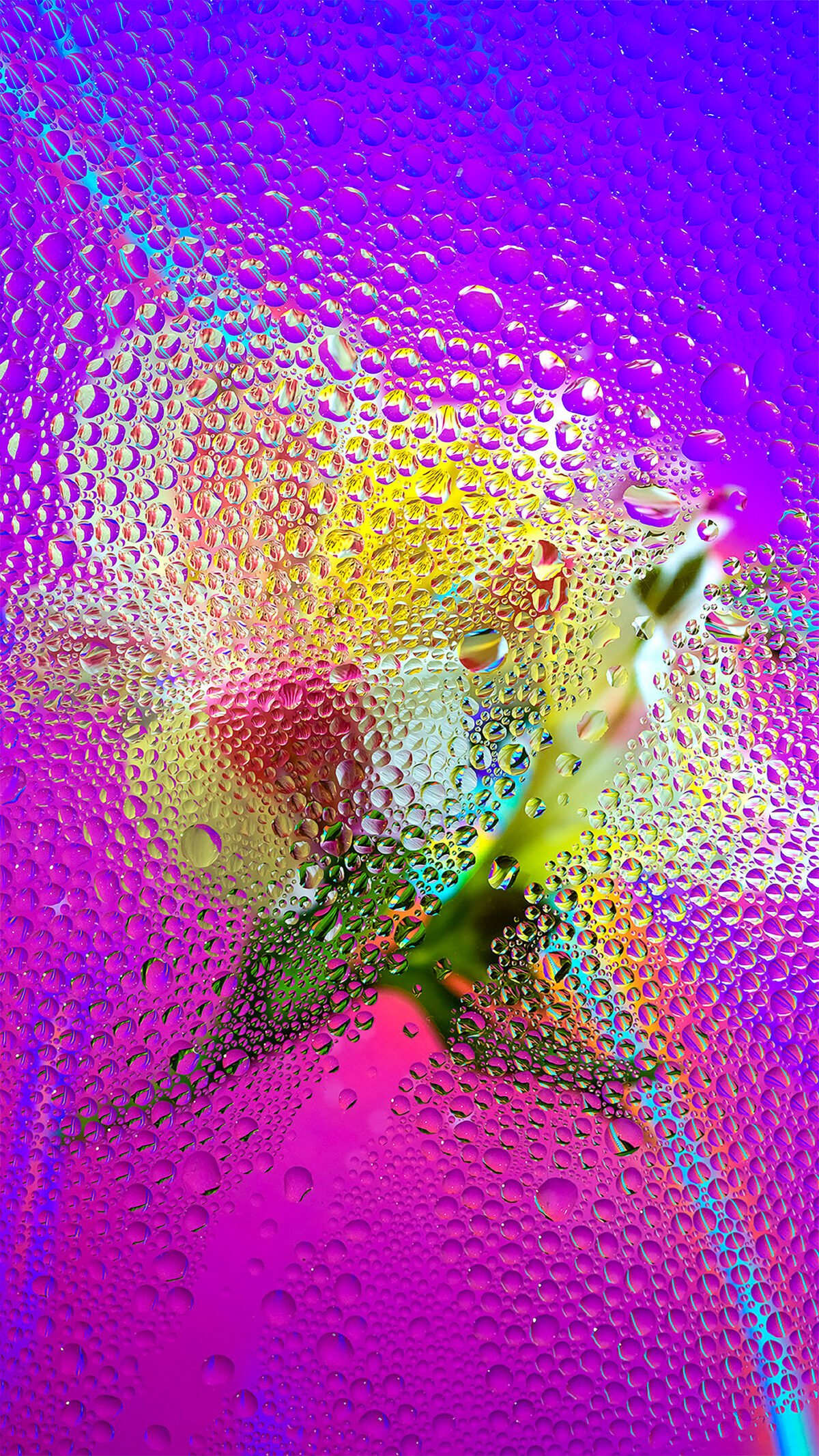 Inside A Gorgeous Floral Photography Series By Davy Evans (24)