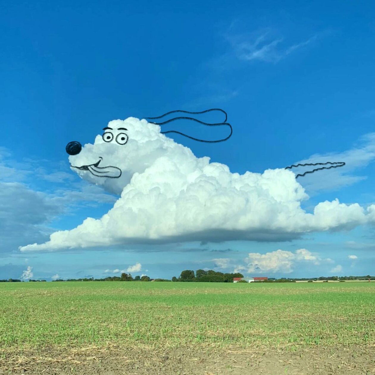 Clouds turned into amusing characters by Chris Judge