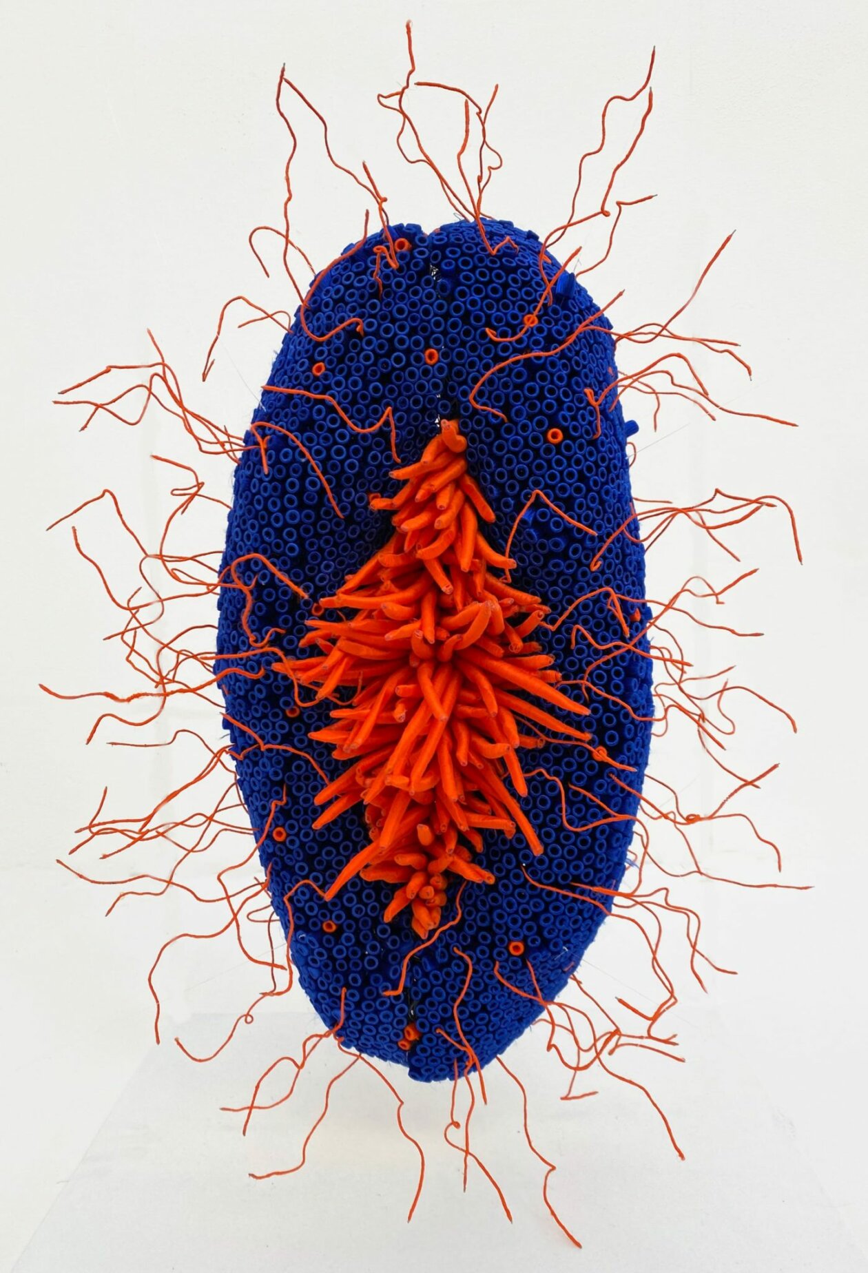 Coral Reefs, Cells, And Human Organs Made Out Of Plastic Bottle Caps And Embroideries By Ghizlane Sahli (8)