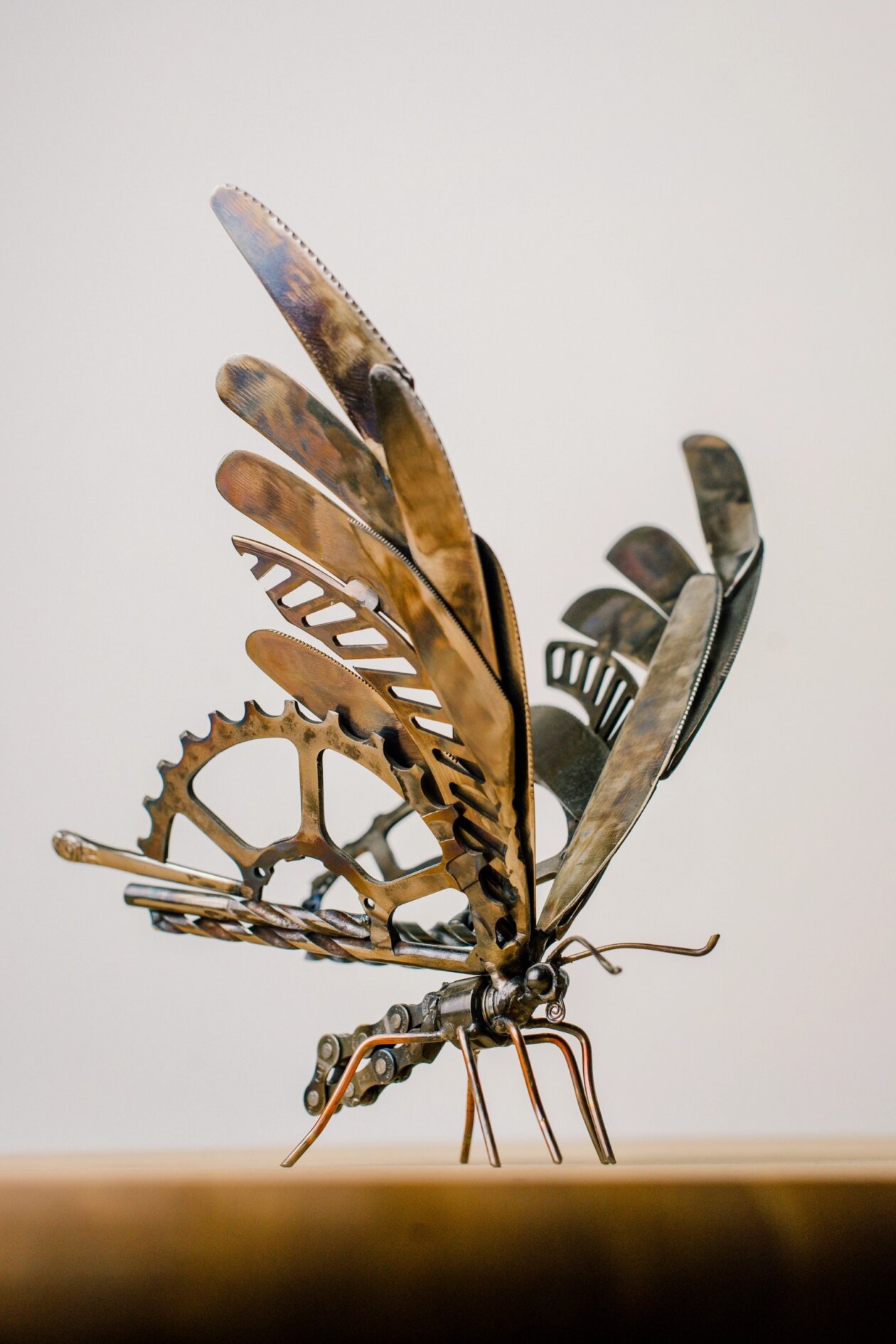 Smart Scrap Metal Sculptures Of Wild Animals By Leah Jeffery (12)