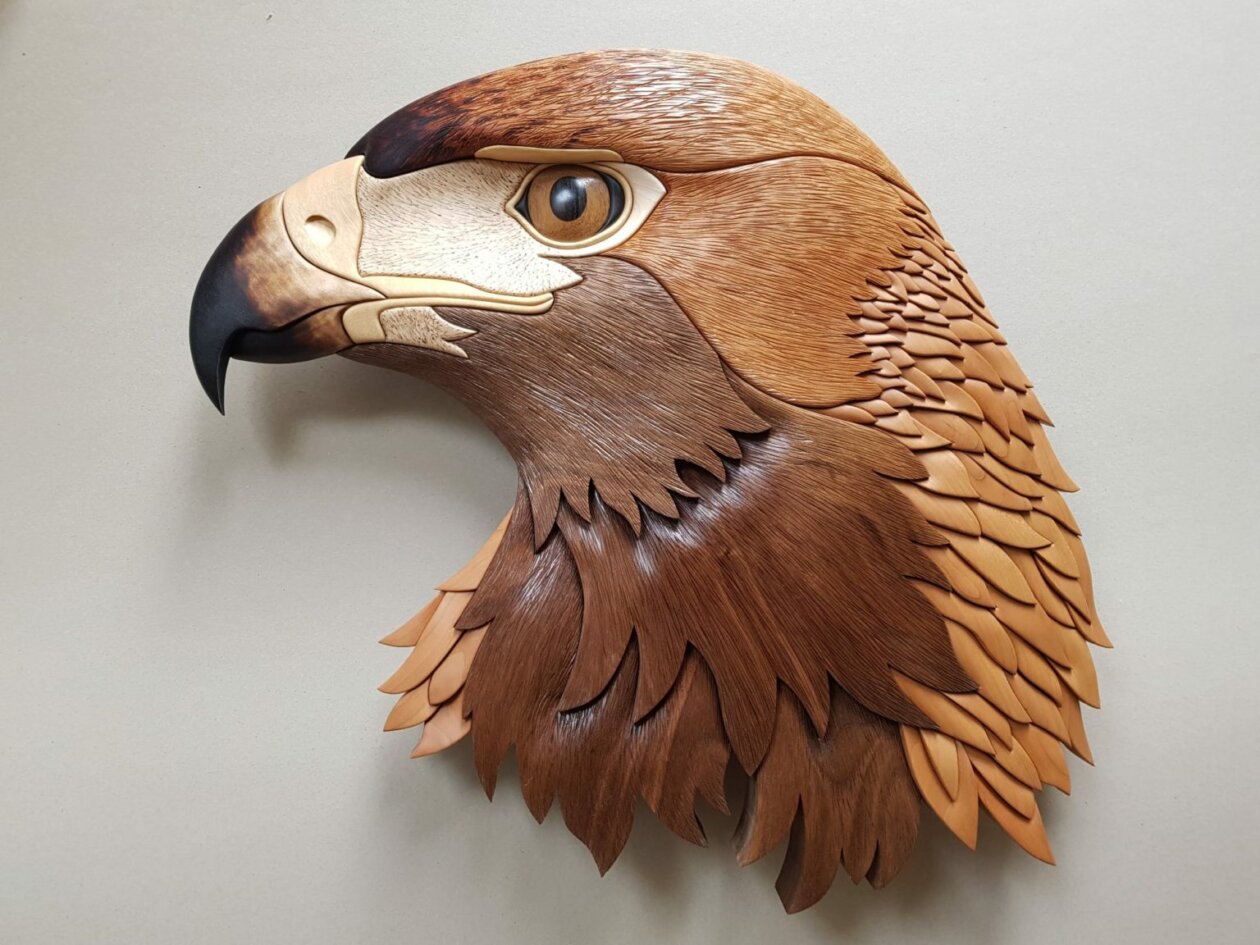 Realistic wood sculptures of bird busts and feathers by T.A.G. Smith