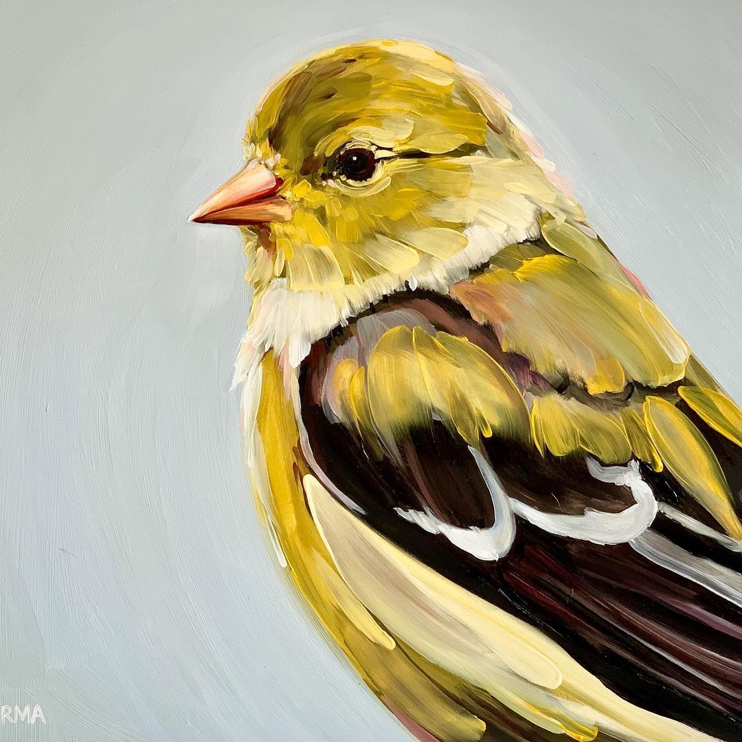 The Exquisite Bird Portrait Paintings Of Rachel Altschuler (19)