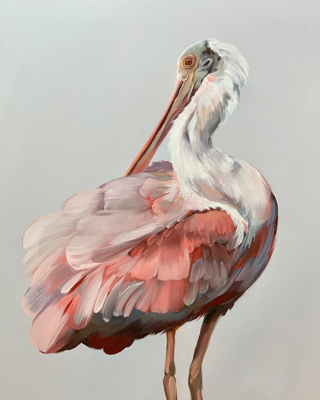 The Exquisite Bird Portrait Paintings Of Rachel Altschuler (24)