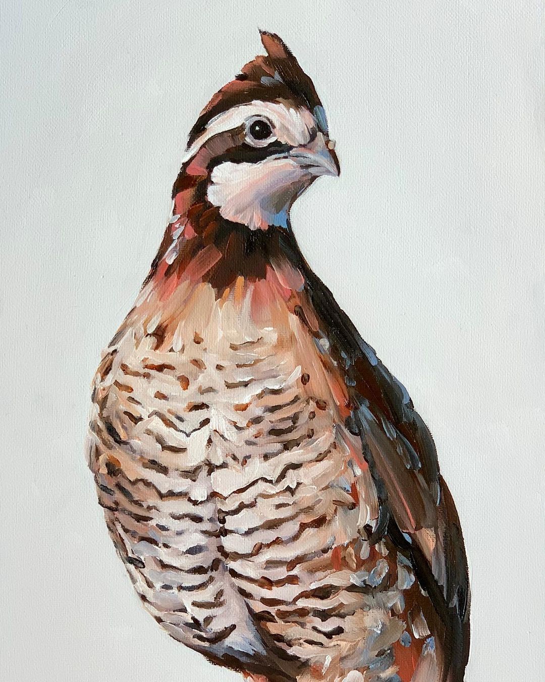 The Exquisite Bird Portrait Paintings Of Rachel Altschuler (26)
