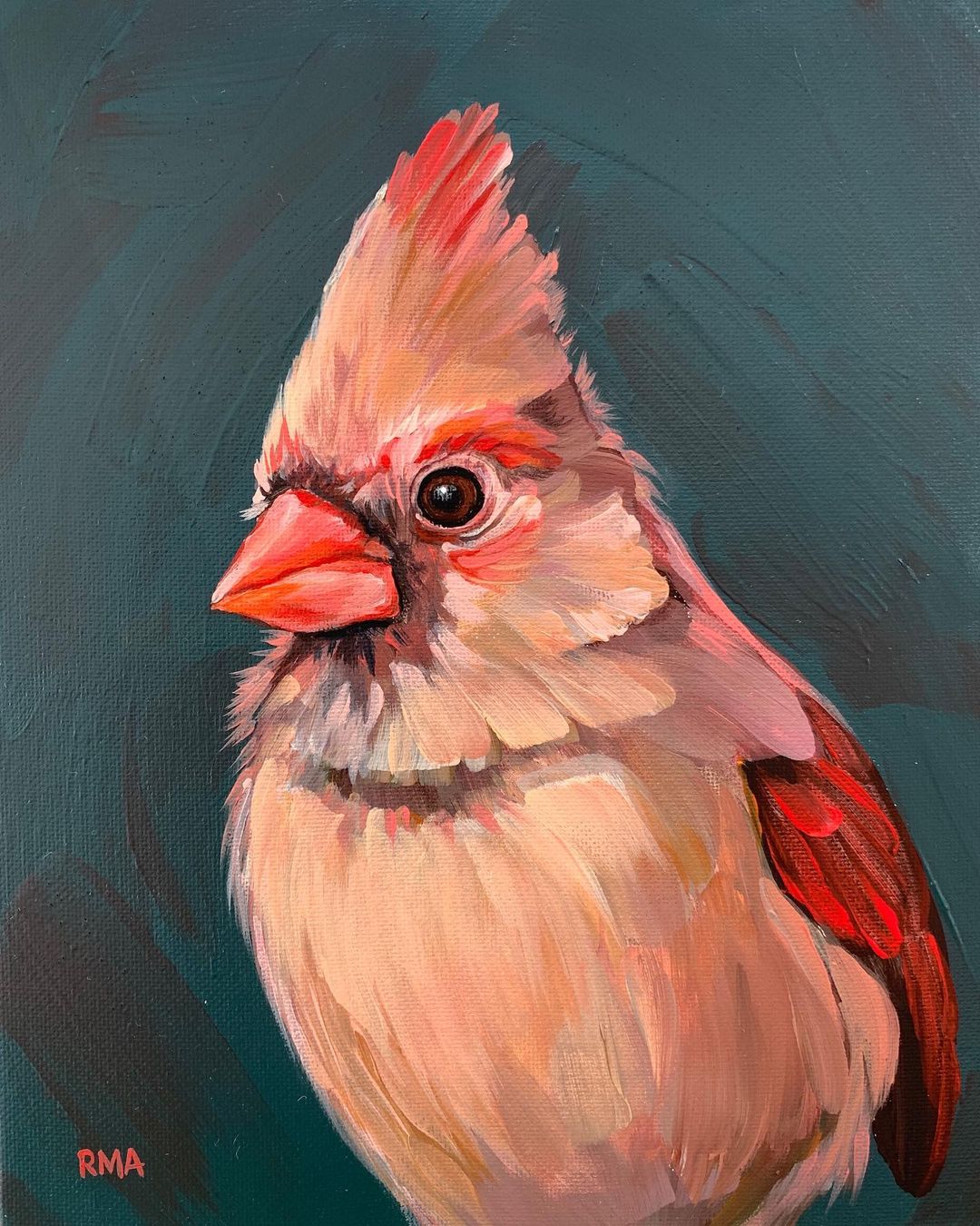 The Exquisite Bird Portrait Paintings Of Rachel Altschuler (27)