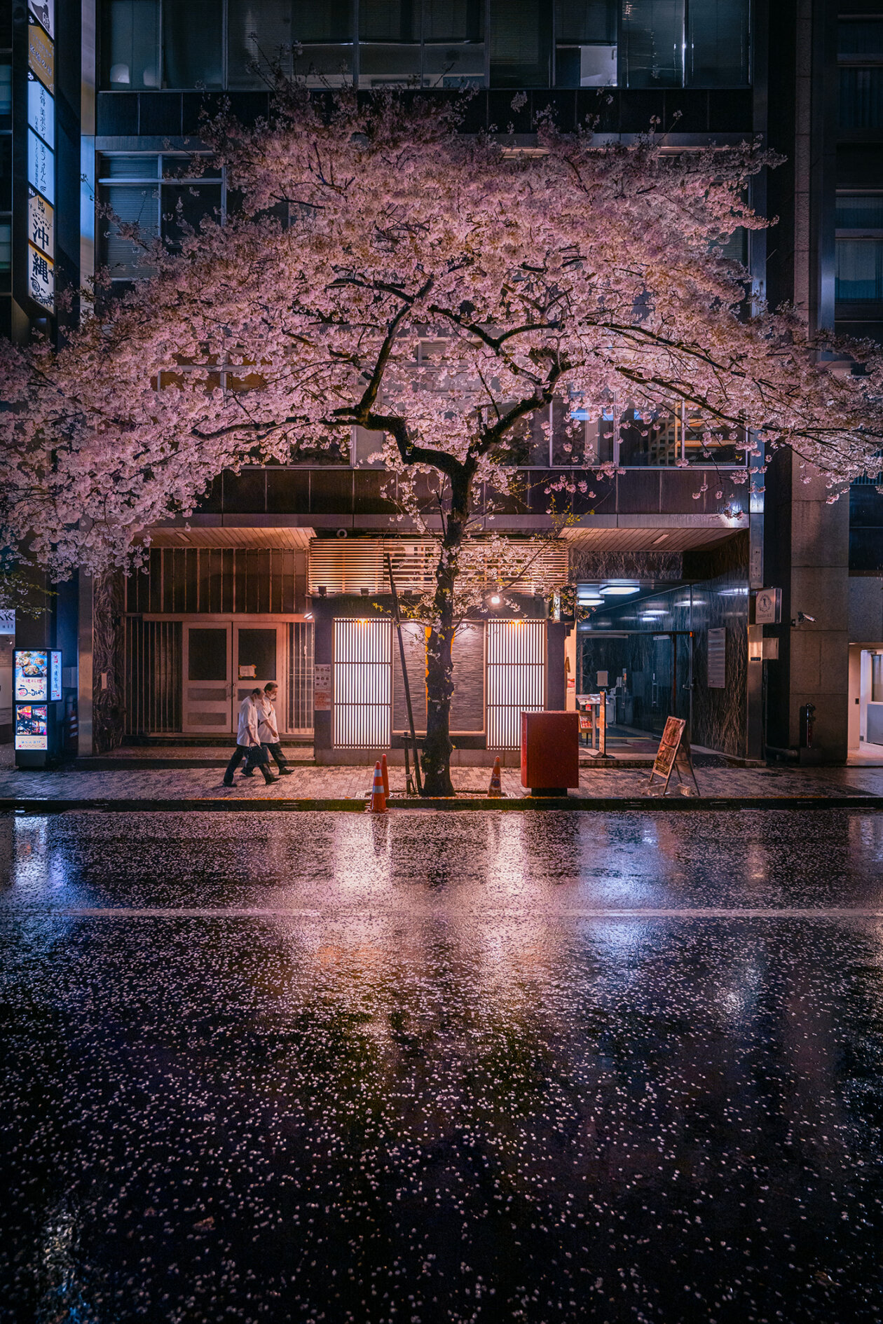 Tokyo In The Rain Spring Scene, A Fascinating Photography Series By Kenta Hayashi (1)