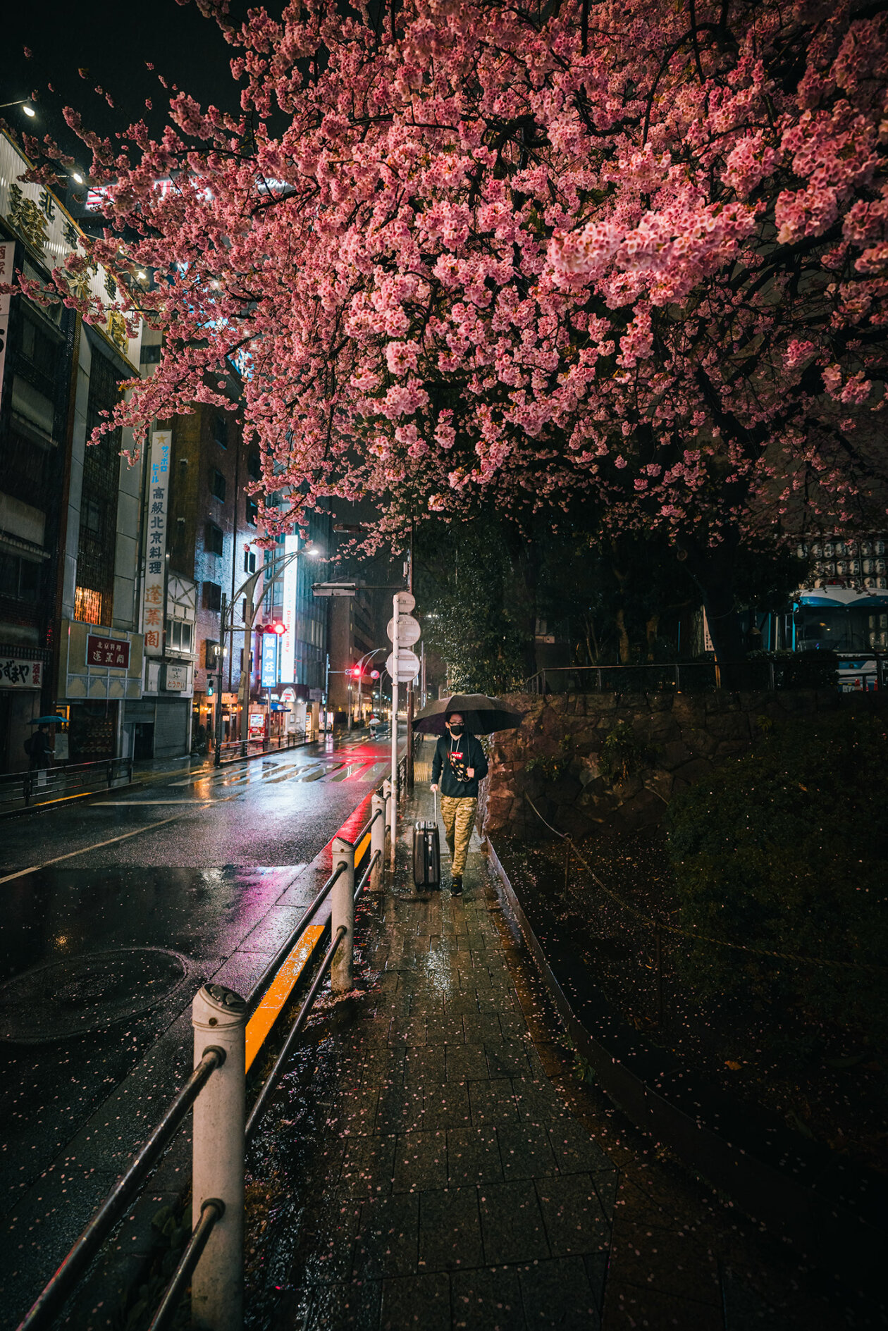 Tokyo In The Rain Spring Scene, A Fascinating Photography Series By Kenta Hayashi (2)