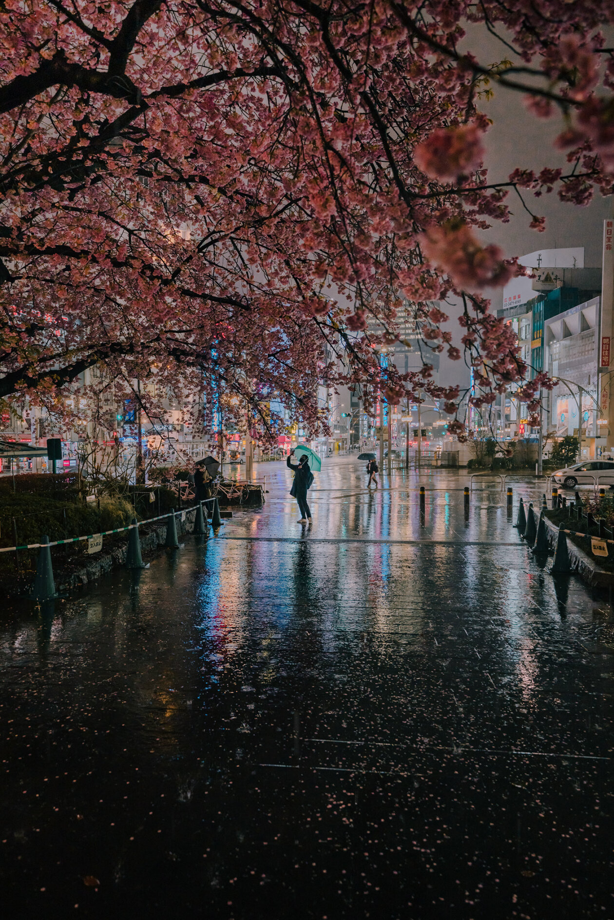 Tokyo In The Rain Spring Scene, A Fascinating Photography Series By Kenta Hayashi (3)