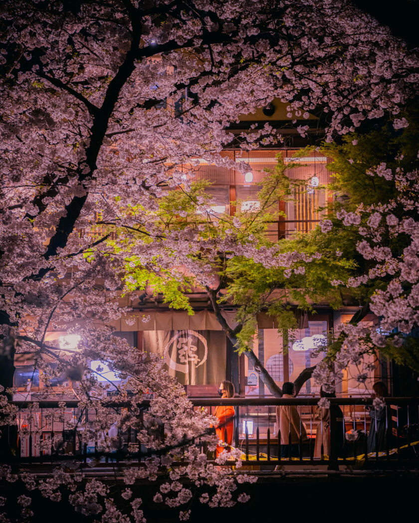 Kenta Hayashi: Tokyo spring rain photography