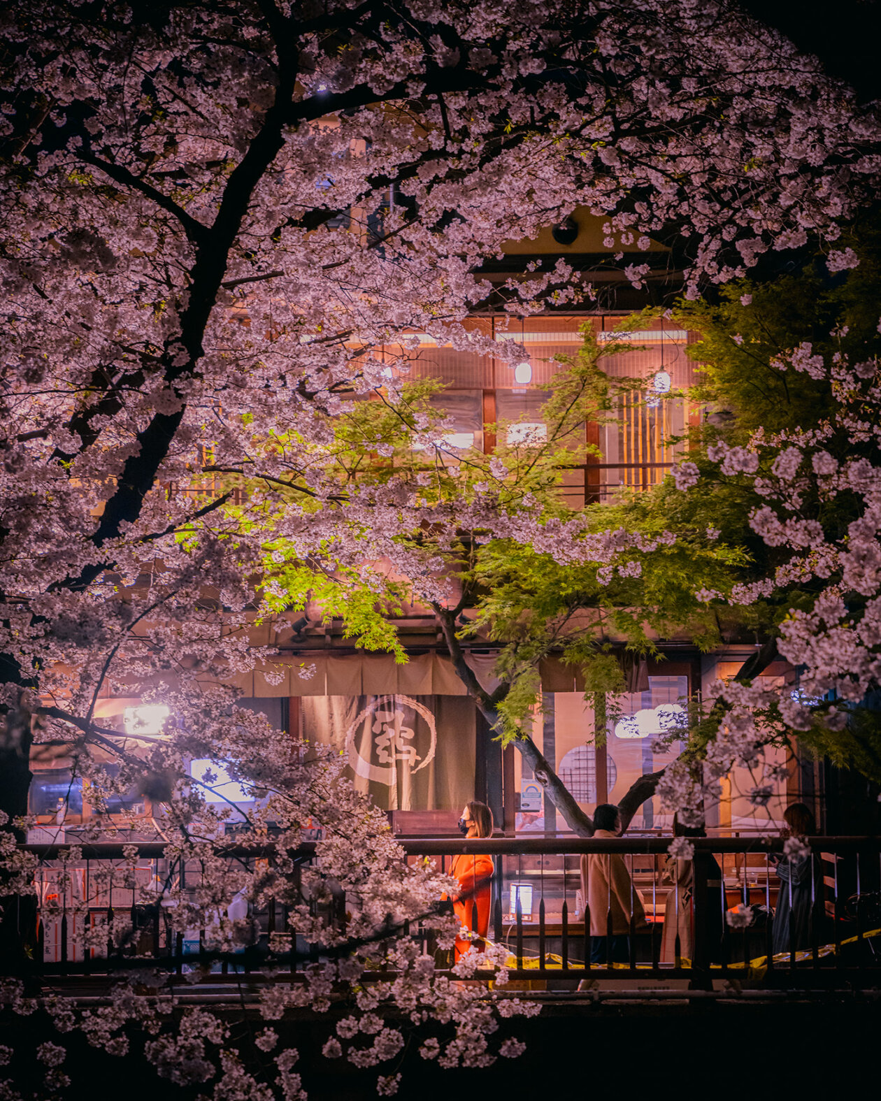 Tokyo In The Rain Spring Scene, A Fascinating Photography Series By Kenta Hayashi (4)