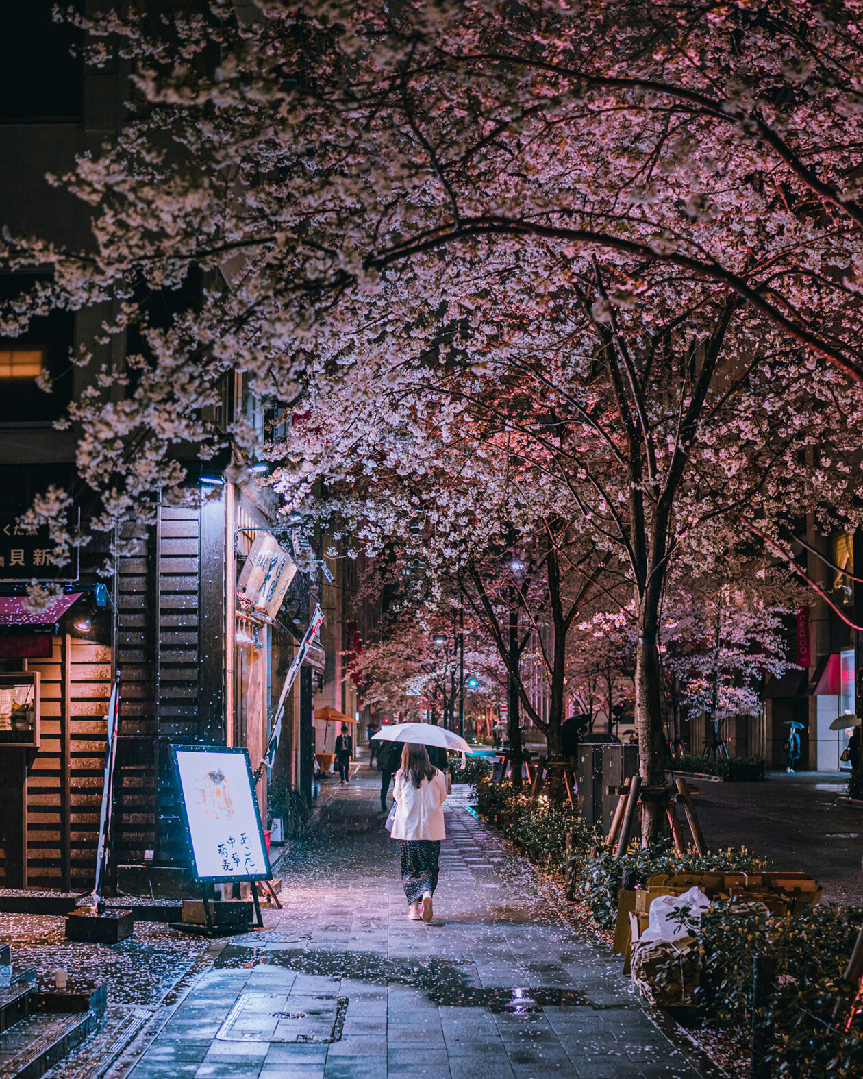 Tokyo In The Rain Spring Scene, A Fascinating Photography Series By Kenta Hayashi (5)