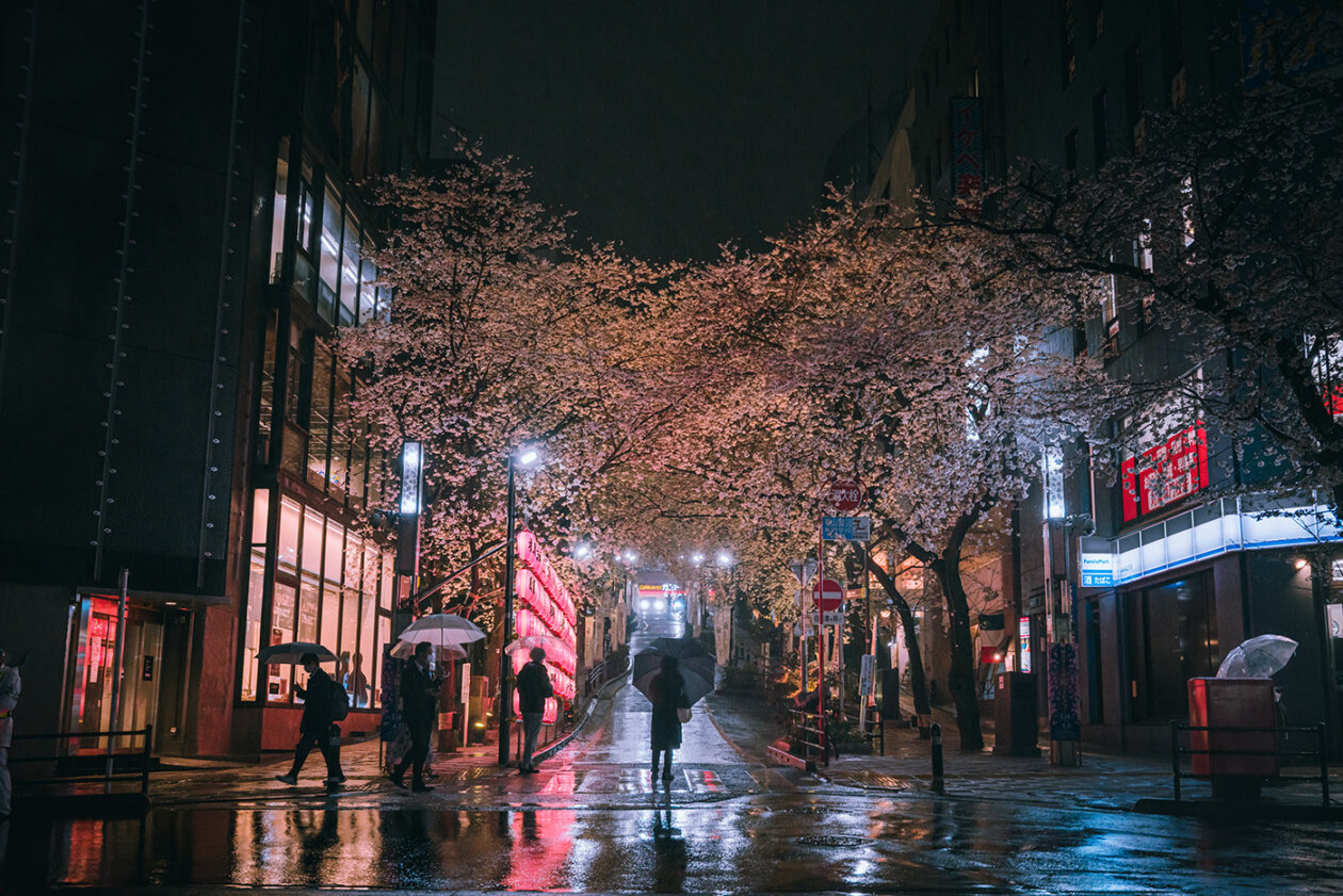 Tokyo In The Rain Spring Scene, A Fascinating Photography Series By Kenta Hayashi (6)