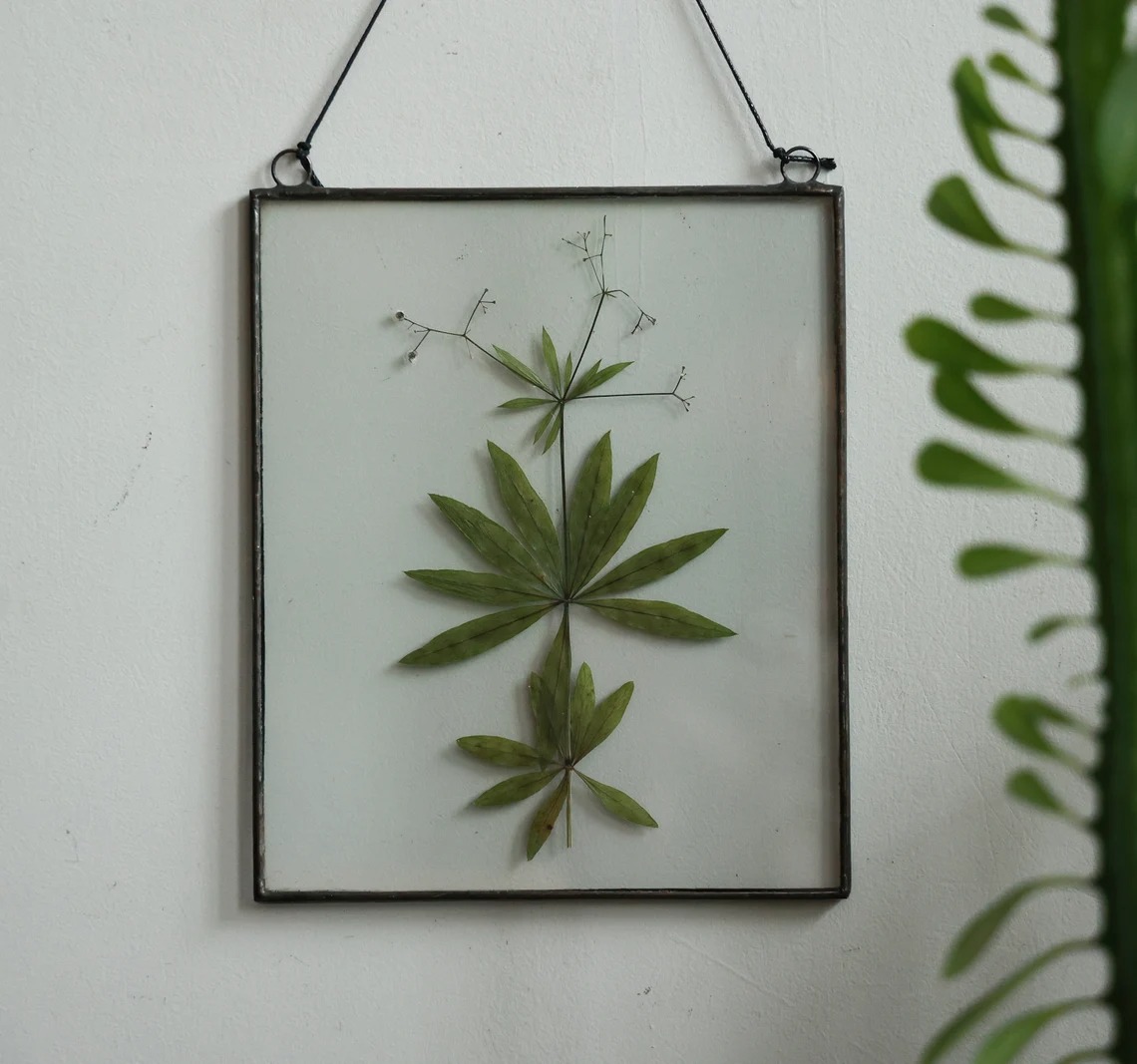 Gorgeous Herbarium In Glass And Resin Sea Frames By Anna Paschenko (10)