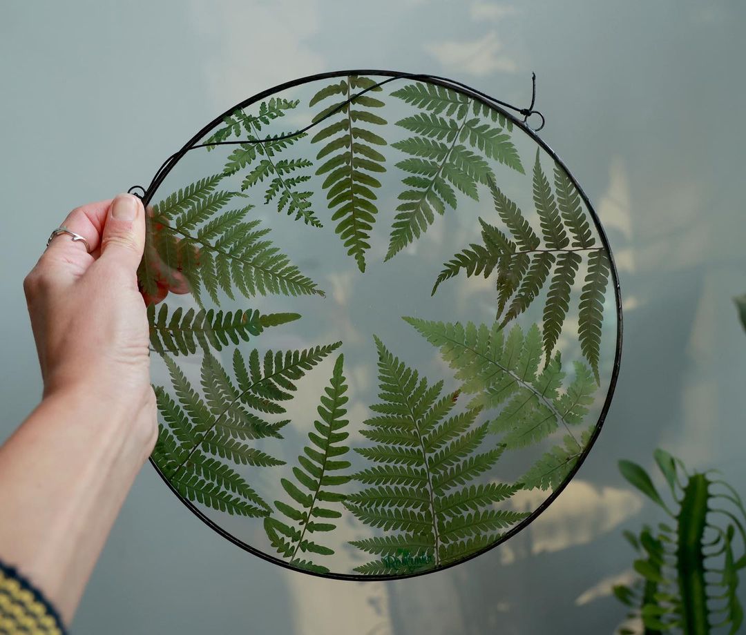 Gorgeous Herbarium In Glass And Resin Sea Frames By Anna Paschenko (23)