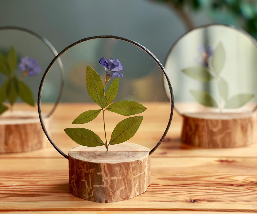 Gorgeous Herbarium In Glass And Resin Sea Frames By Anna Paschenko (25)