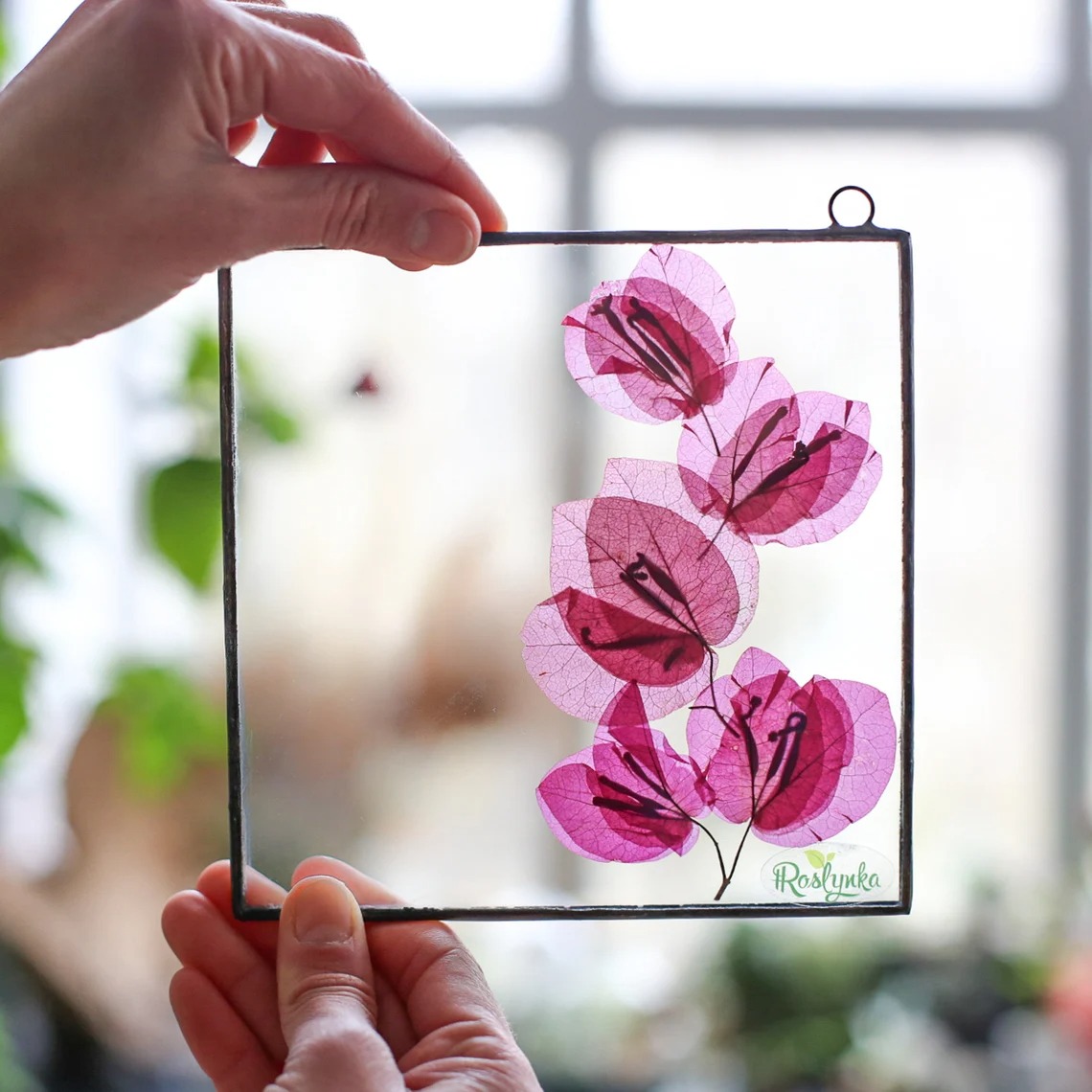 Gorgeous Herbarium In Glass And Resin Sea Frames By Anna Paschenko (4)
