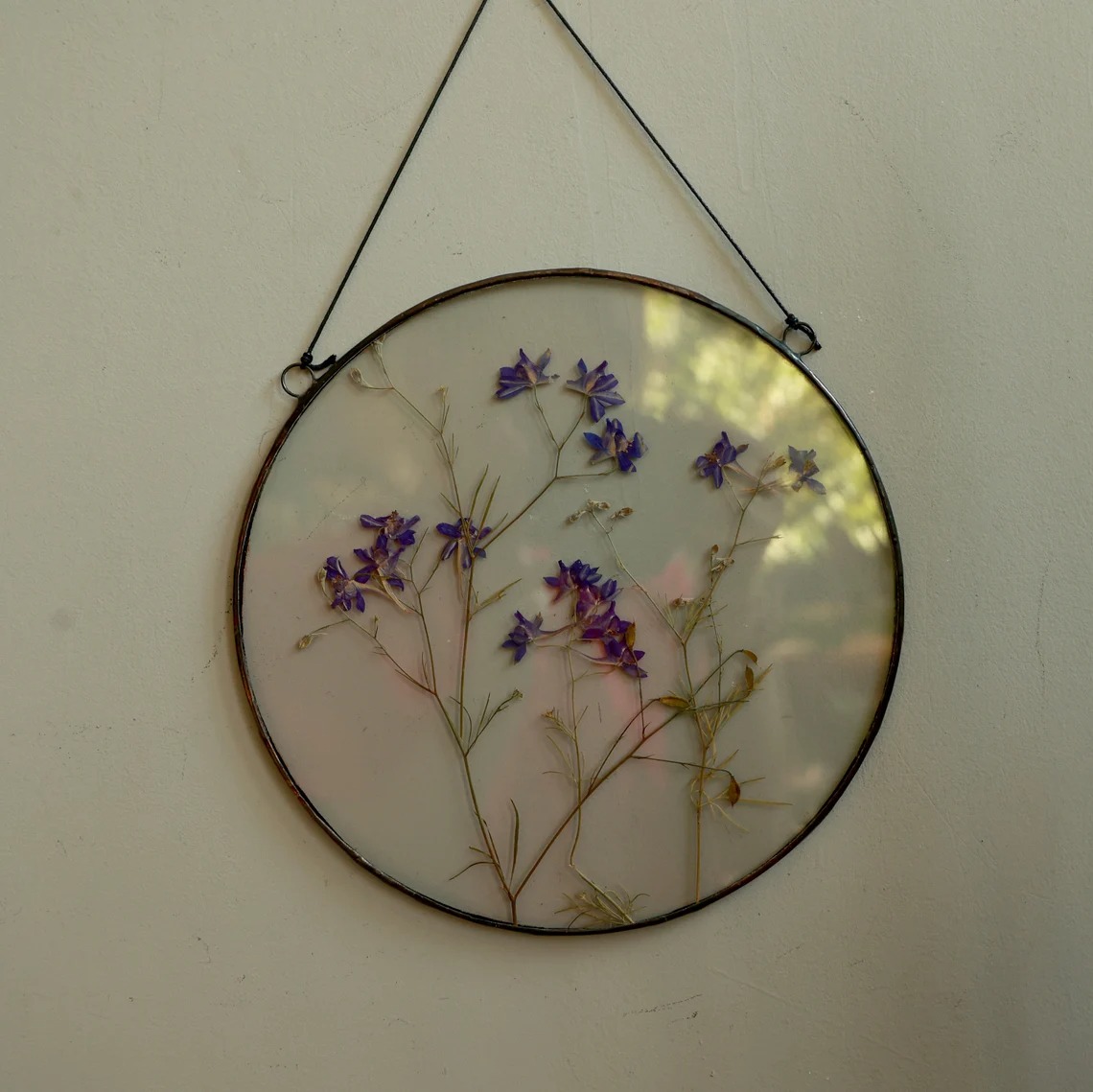 Gorgeous Herbarium In Glass And Resin Sea Frames By Anna Paschenko (9)