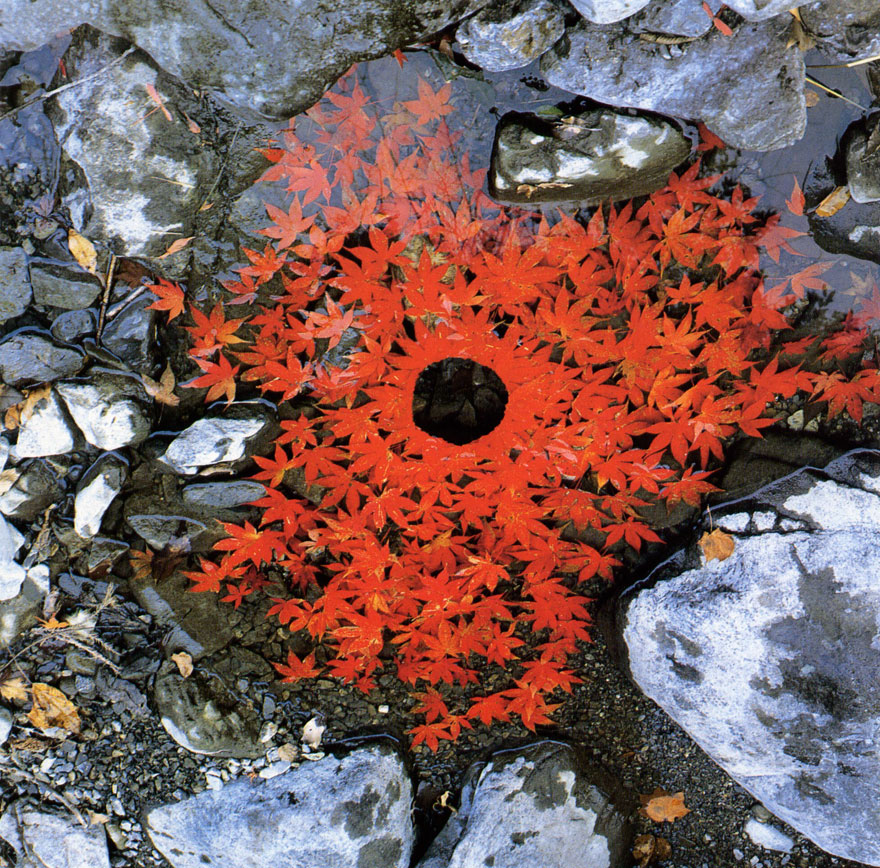The Outstanding Land Art Of Andy Goldsworthy (24)