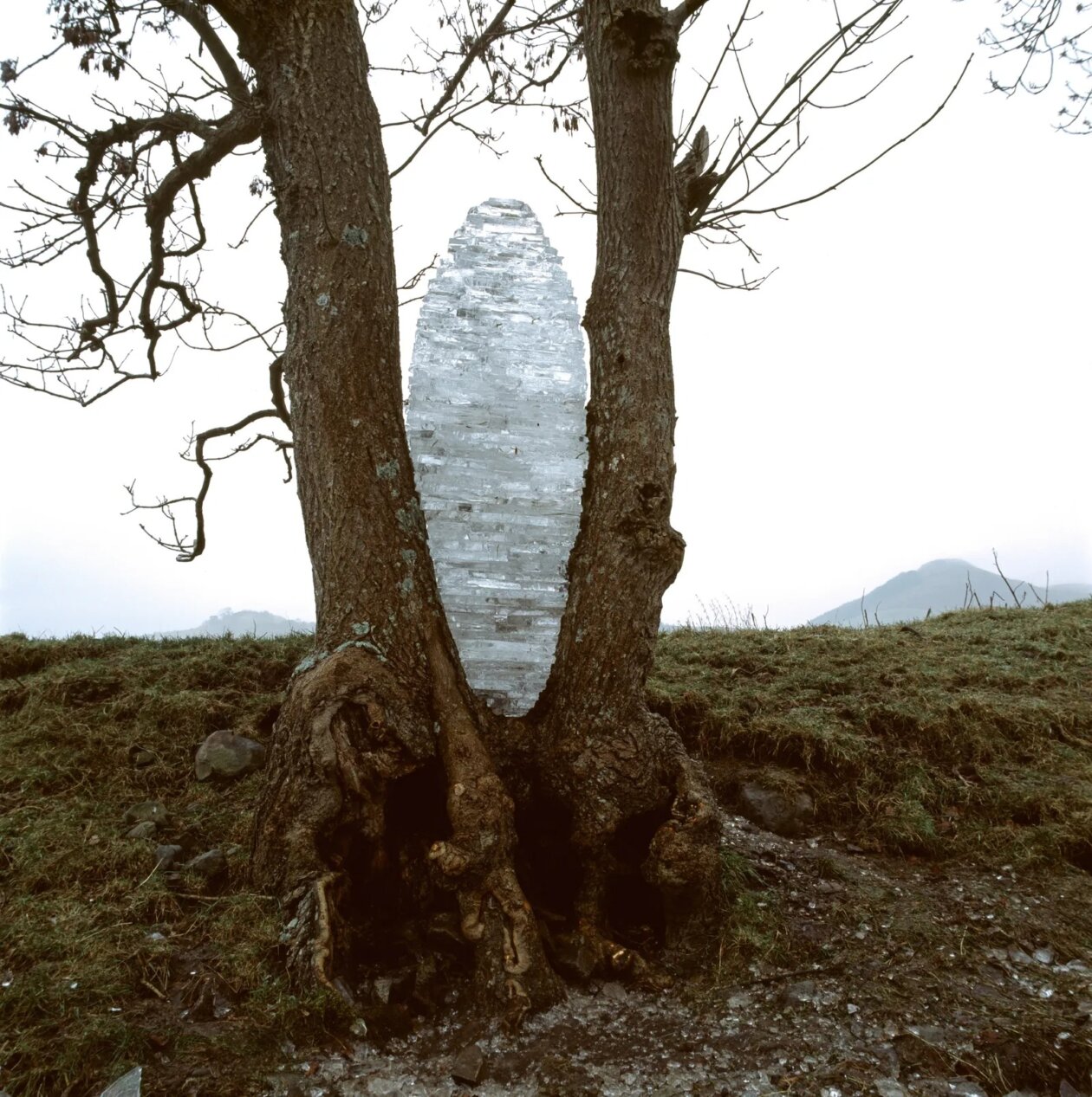 The Outstanding Land Art Of Andy Goldsworthy (3)