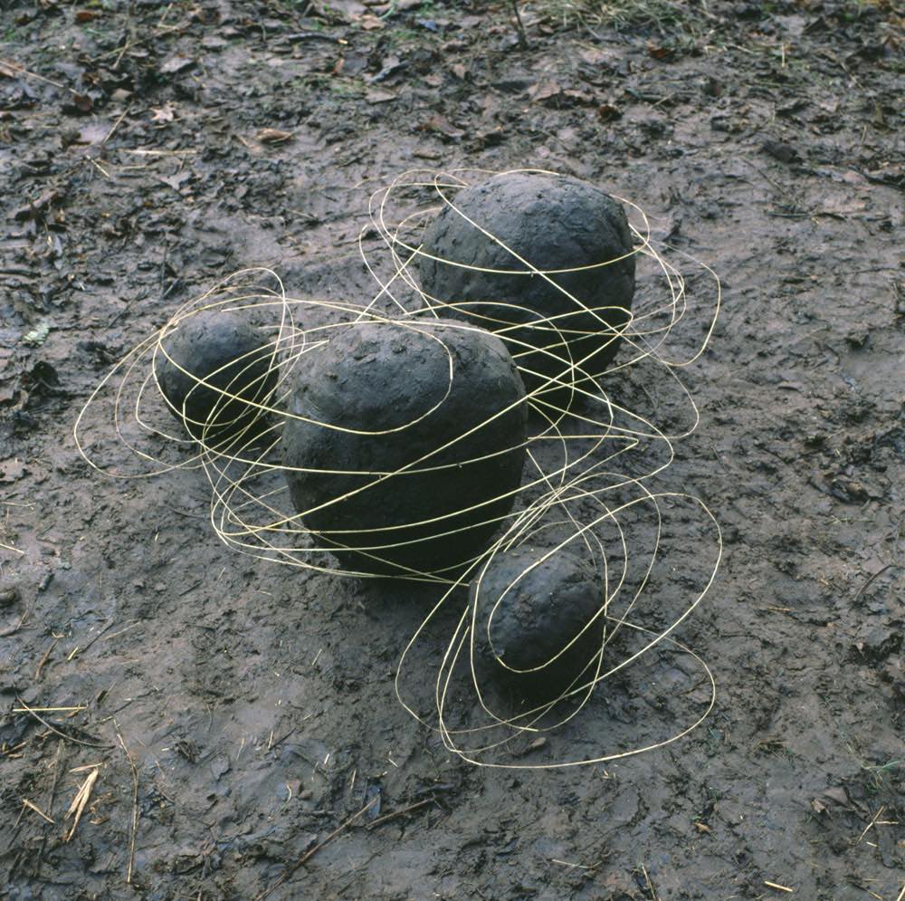 The Outstanding Land Art Of Andy Goldsworthy (9)