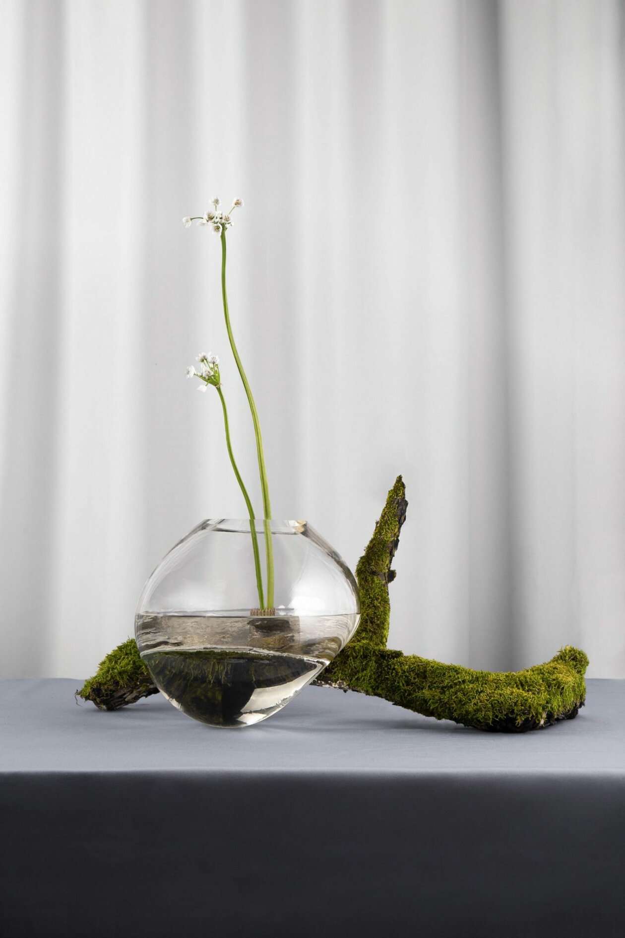 Gutta, A Melting Glass Vase Series By Kateryna Sokolova (2)