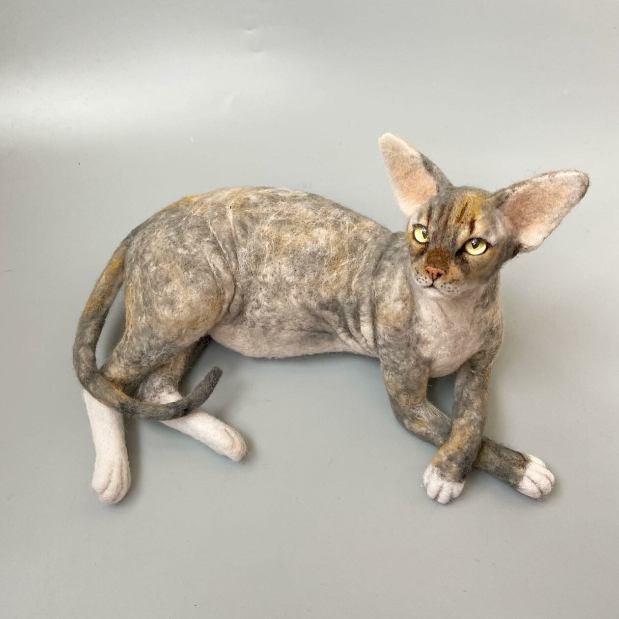 Hyper Realistic Animal Felted Wool Sculptures By Alla Rebrova (24)