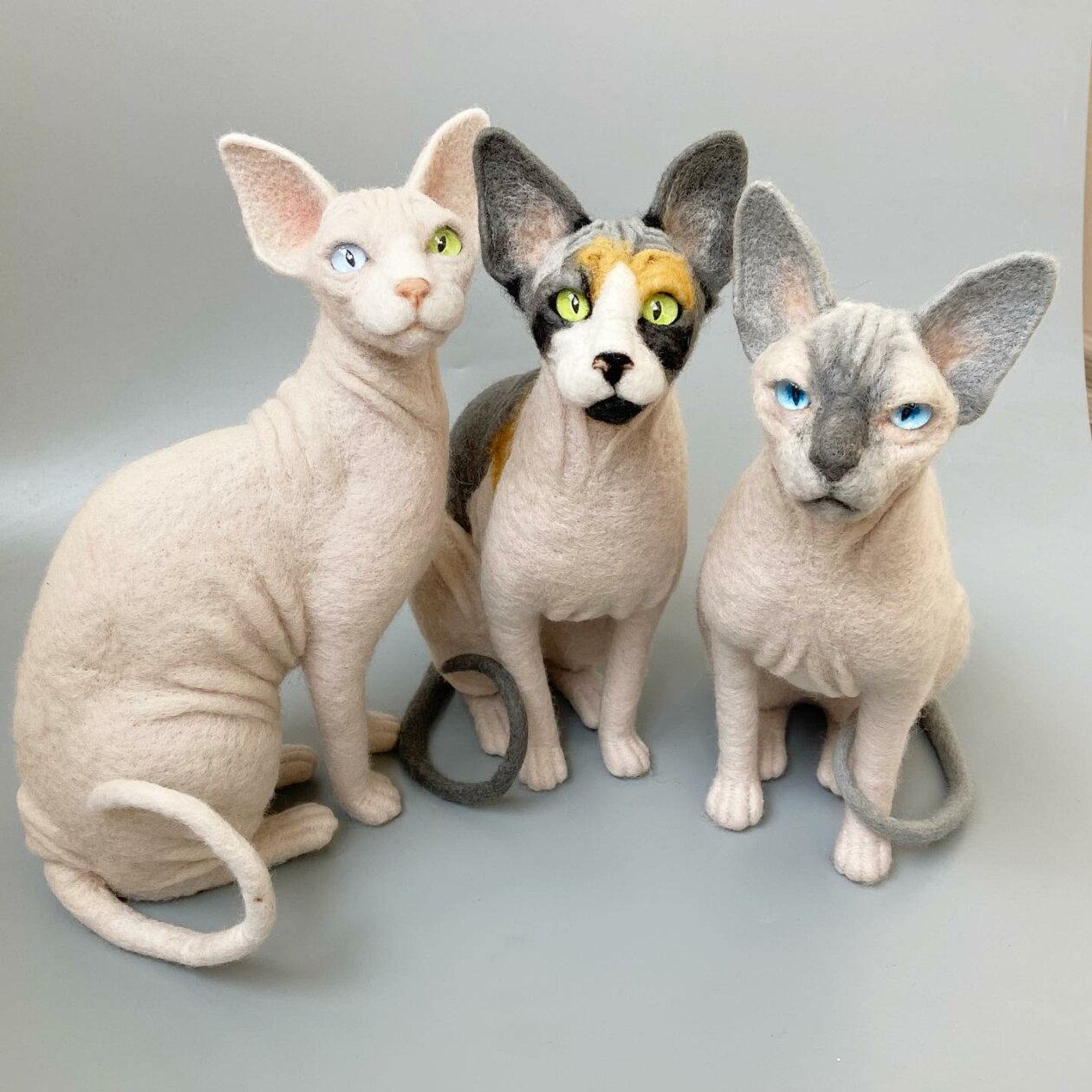 Hyper Realistic Animal Felted Wool Sculptures By Alla Rebrova (9)