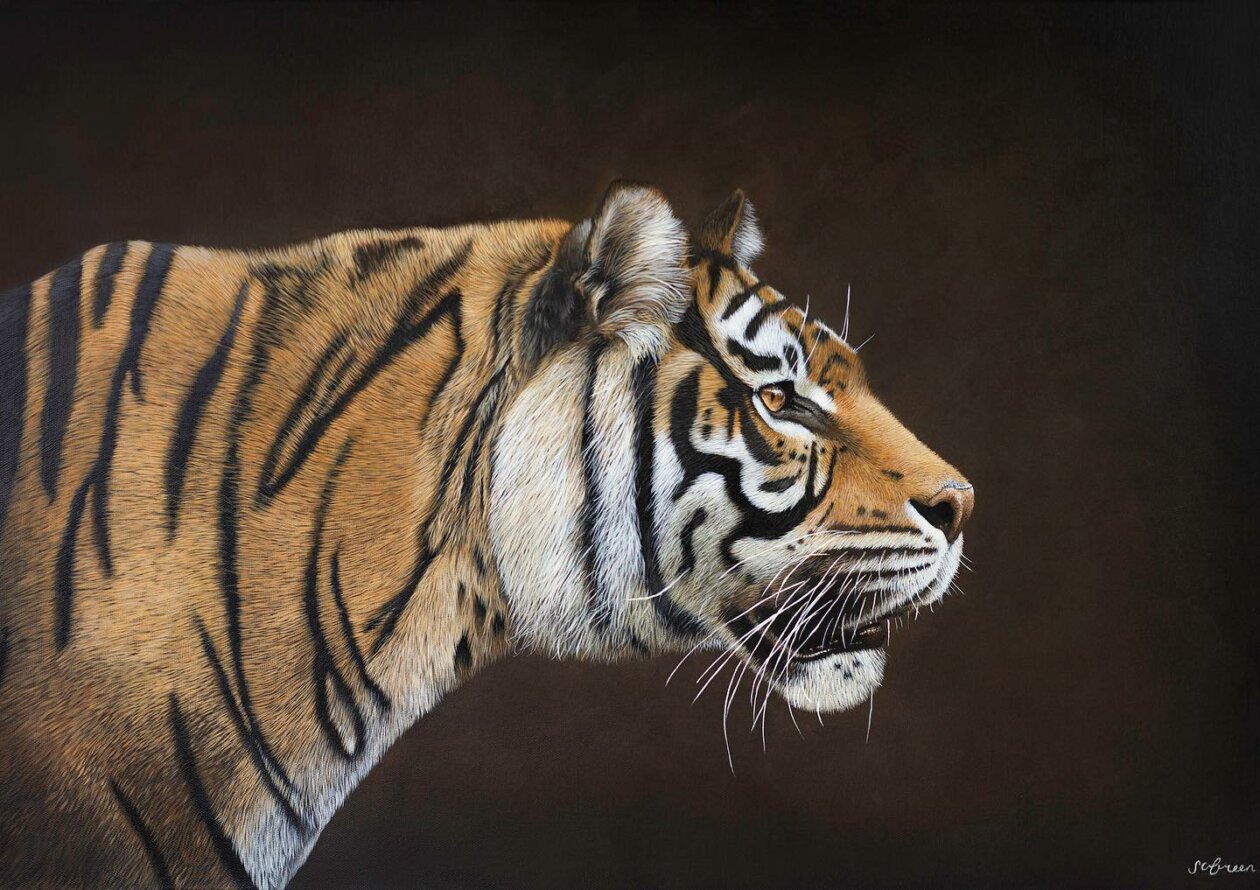 Hyper Realistic Animal Portrait Paintings By Sophie Green (13)