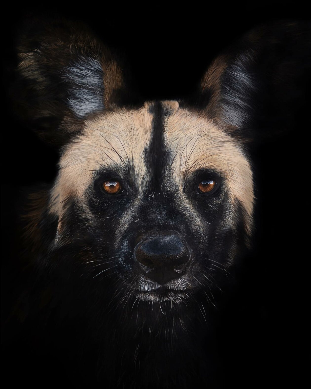 Hyper Realistic Animal Portrait Paintings By Sophie Green (15)