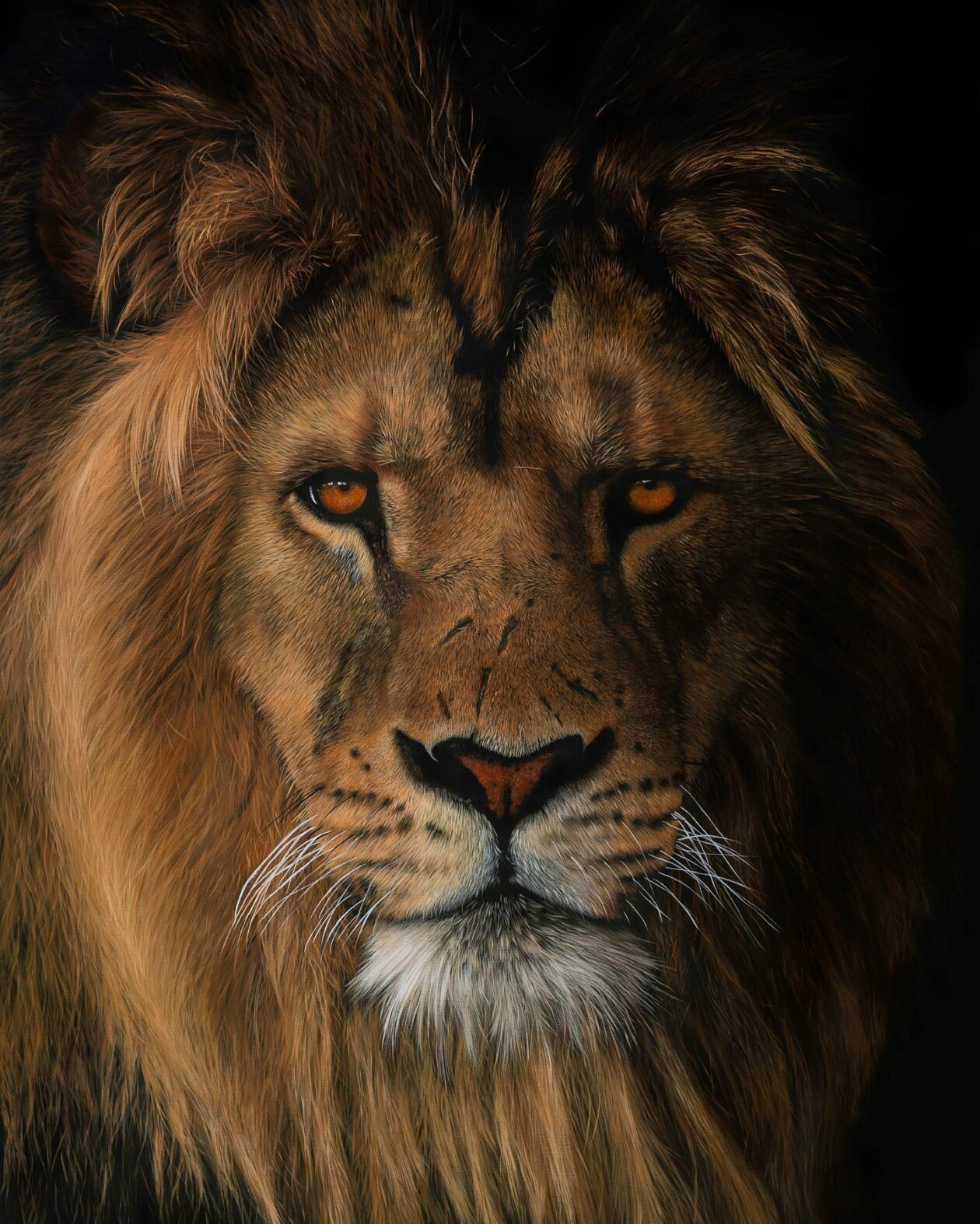 Hyper Realistic Animal Portrait Paintings By Sophie Green (16)