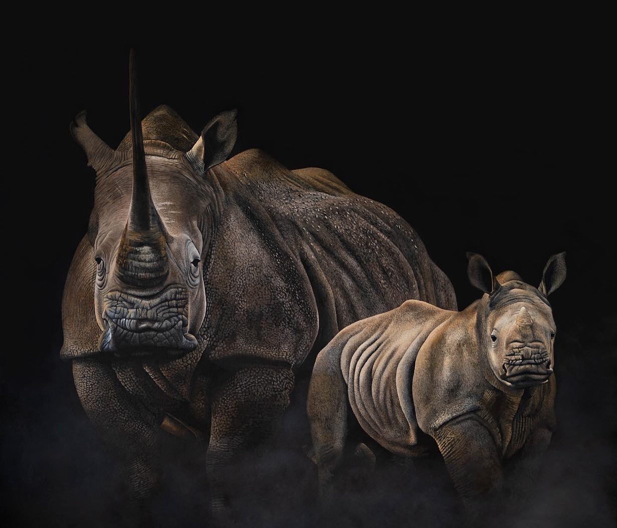 Hyper Realistic Animal Portrait Paintings By Sophie Green (1)