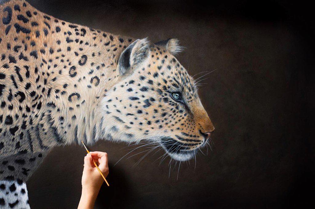 Hyper Realistic Animal Portrait Paintings By Sophie Green (1)