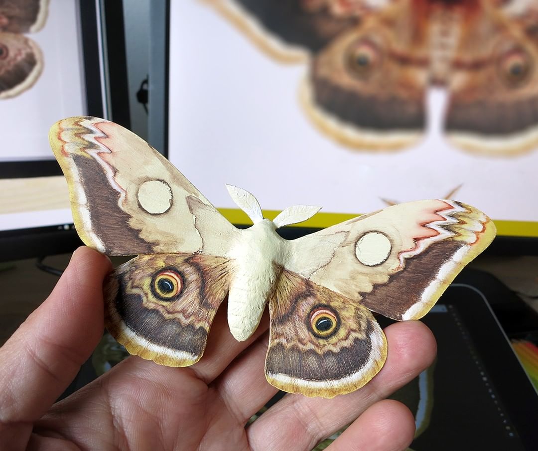 Song Of The Butterfly, Impressively Realistic Butterfly Wood Sculptures By Eyal Holtzman (14)