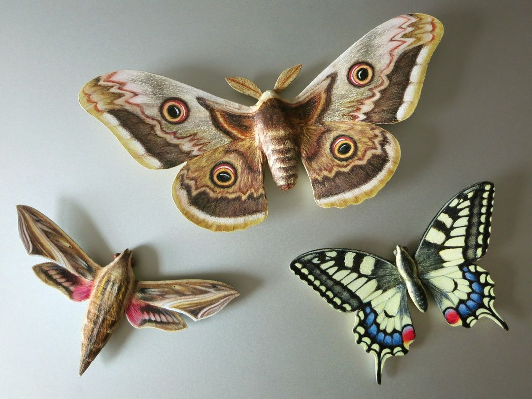 Song Of The Butterfly, Impressively Realistic Butterfly Wood Sculptures By Eyal Holtzman (15)
