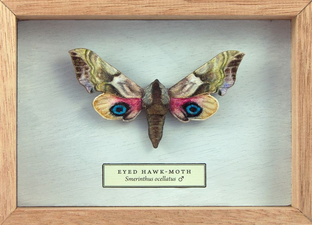 Song Of The Butterfly, Impressively Realistic Butterfly Wood Sculptures By Eyal Holtzman (6)
