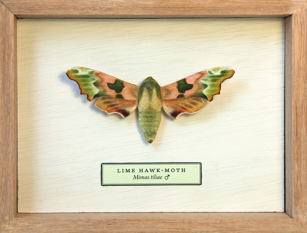 Song Of The Butterfly, Impressively Realistic Butterfly Wood Sculptures By Eyal Holtzman (9)