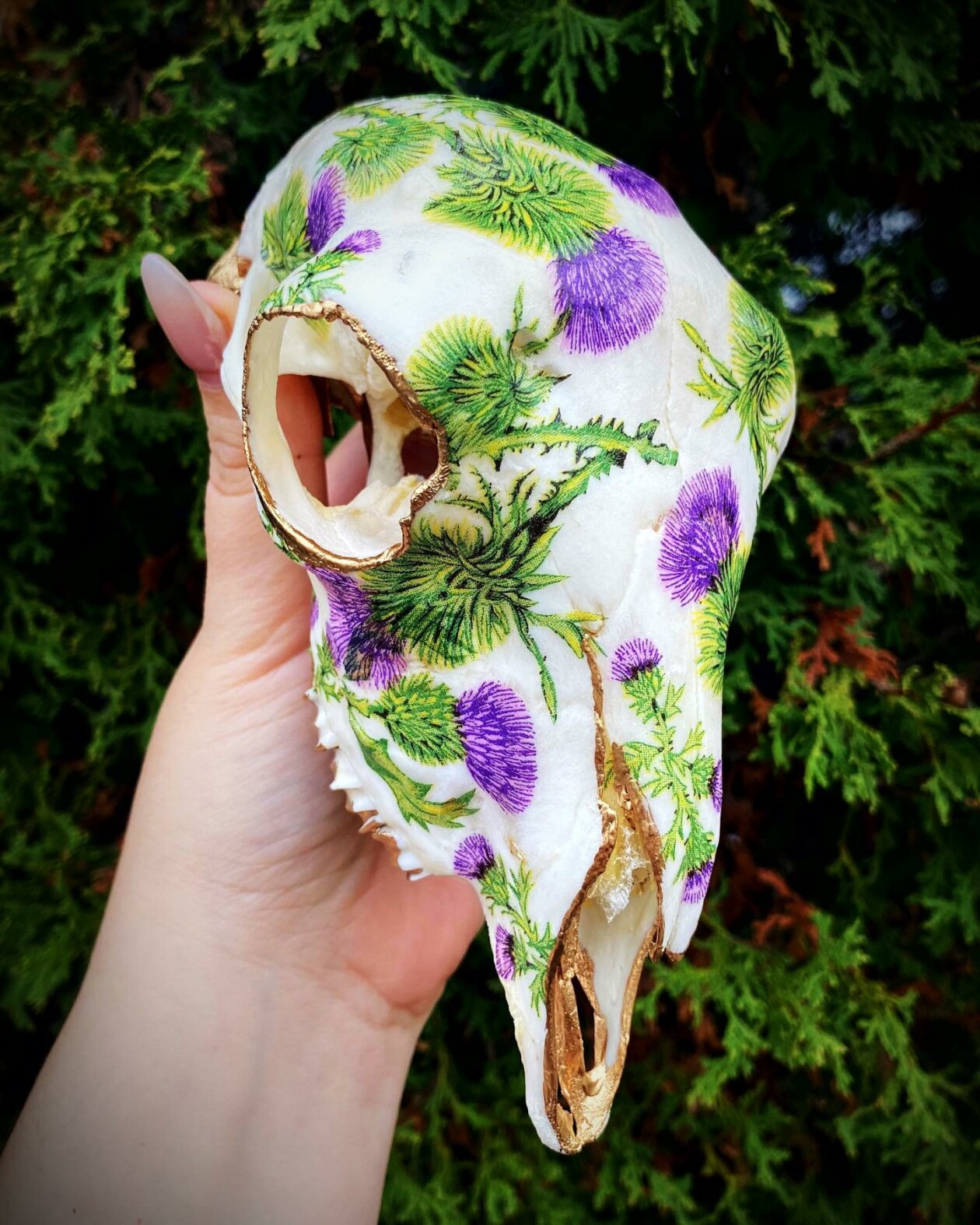 The Floral Decorated Bone And Skull Art Of Emmanuelle Jobidon (1)