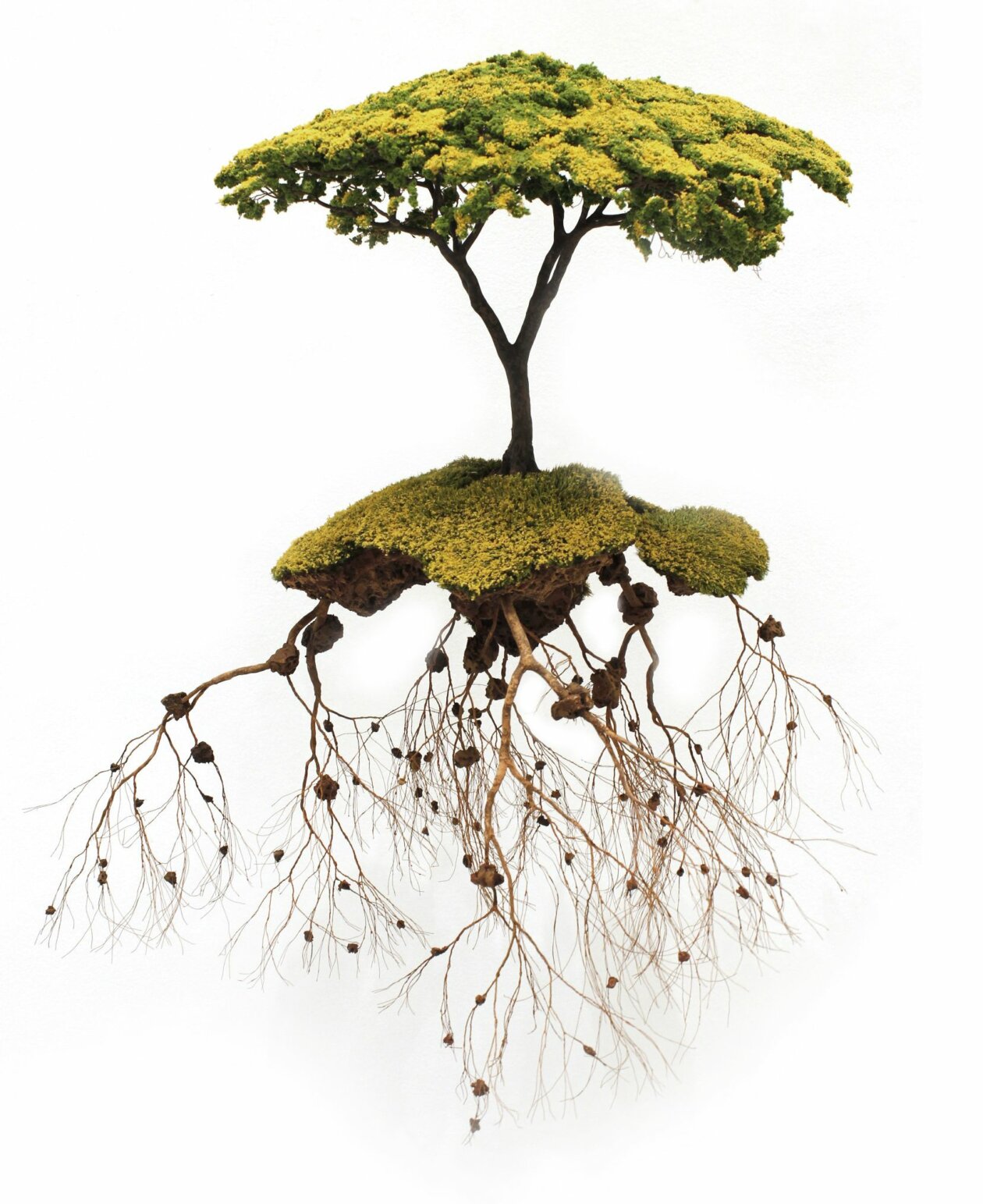Incredible Sculptures Of Miniaturized Landscapes By Jorge Mayet 9