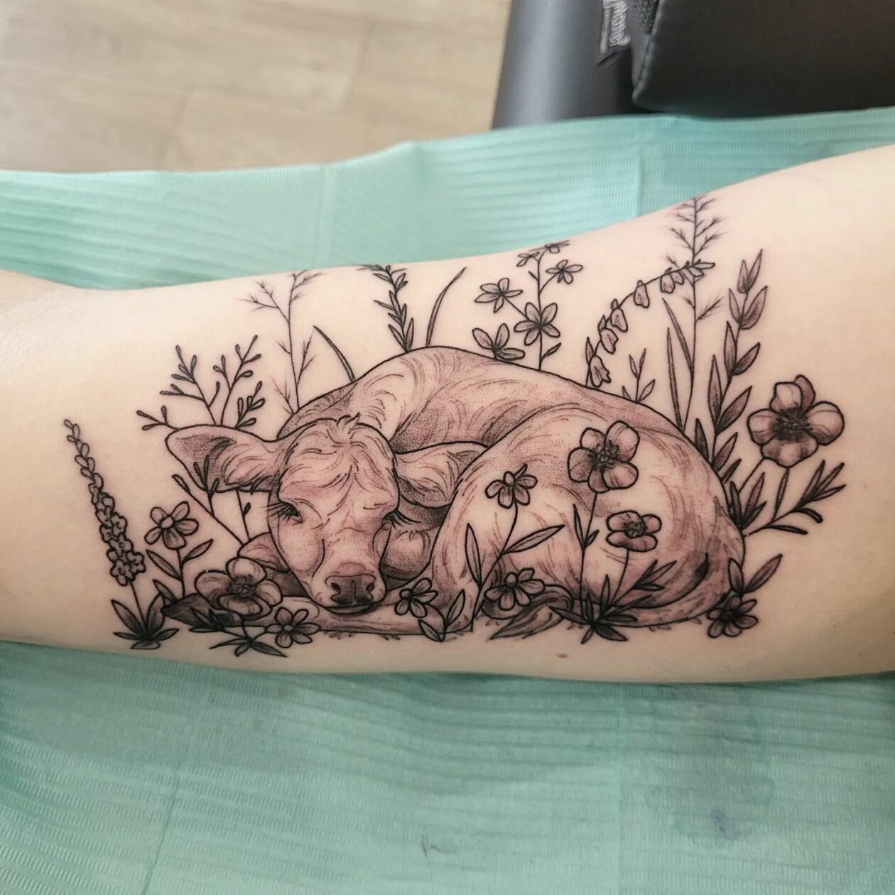 Illustrative Flora And Fauna Tattoos By Jamie 3