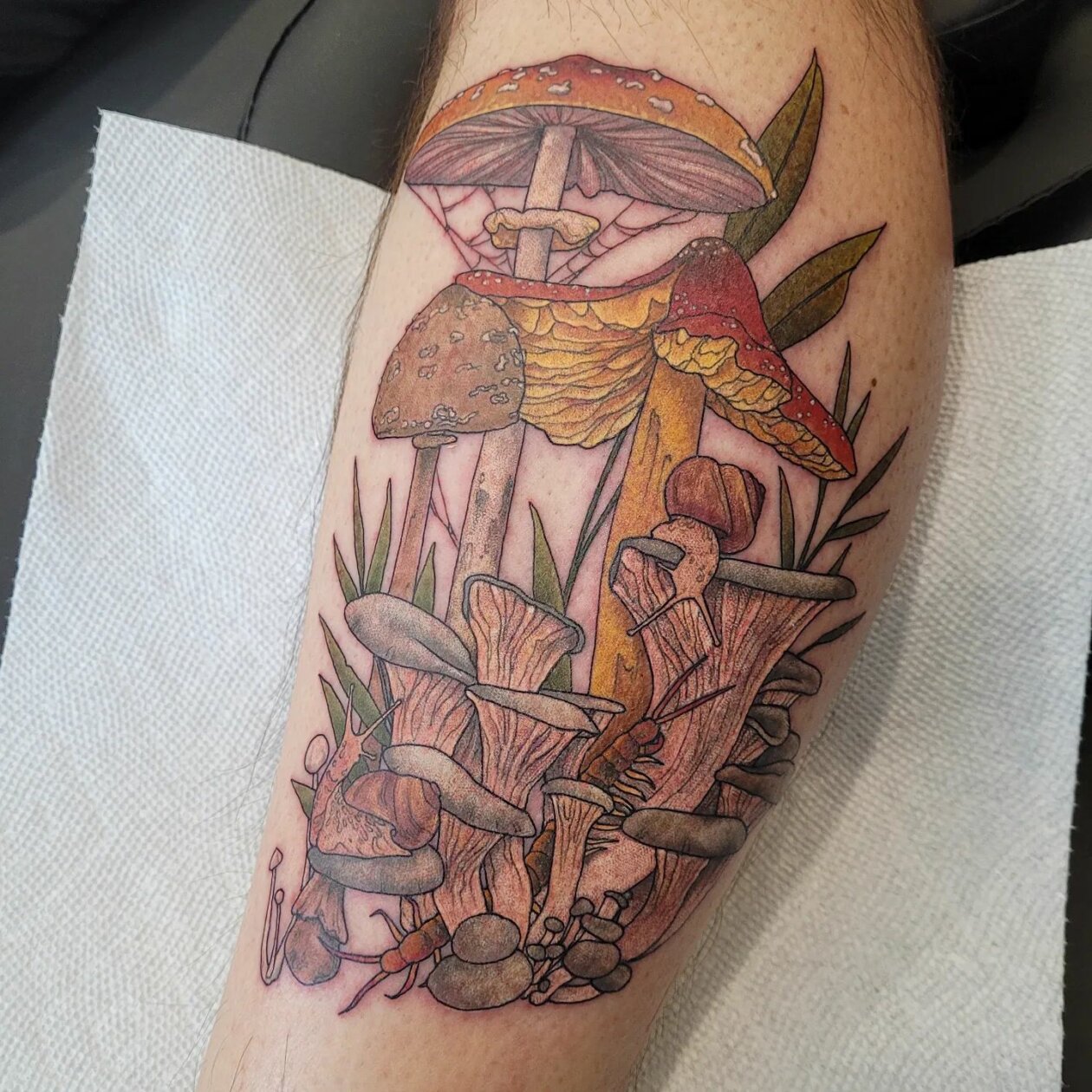 Illustrative Flora And Fauna Tattoos By Jamie 7