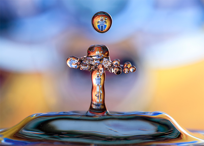 Water Drops A Fascinating Photography Series By Dave Wood 10
