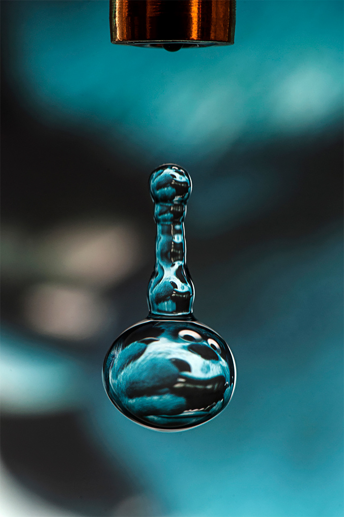 Water Drops A Fascinating Photography Series By Dave Wood 6
