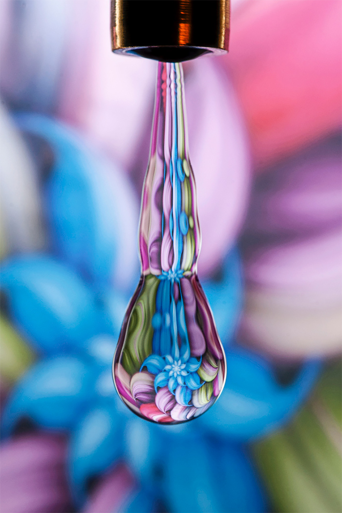 Water Drops A Fascinating Photography Series By Dave Wood 8