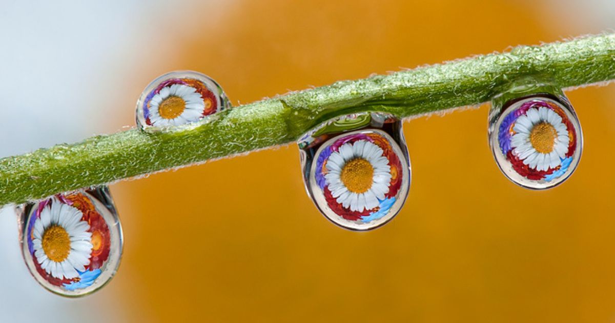 How To Create And Photograph Colorful Figures With Water Drops - 500px