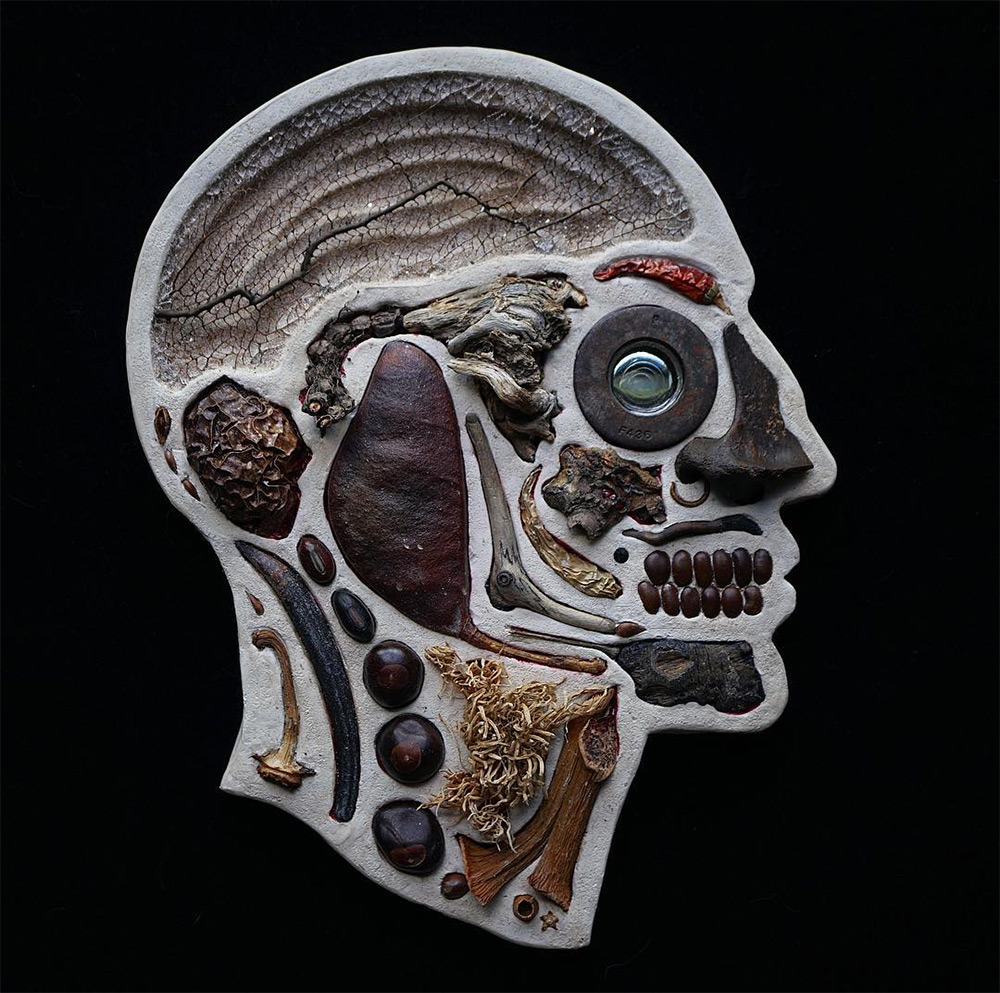 Assemblage Sculptures Of Anatomical Human Head Cross Sections By Edwige Massart And Xavier Wynn (12)