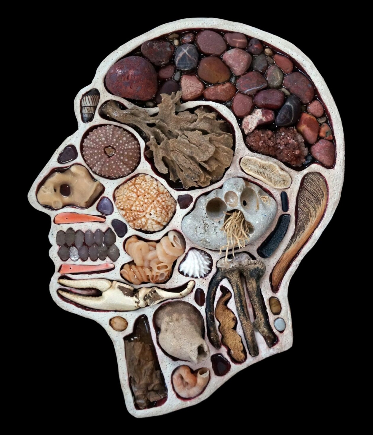 Assemblage Sculptures Of Anatomical Human Head Cross Sections By Edwige Massart And Xavier Wynn (15)