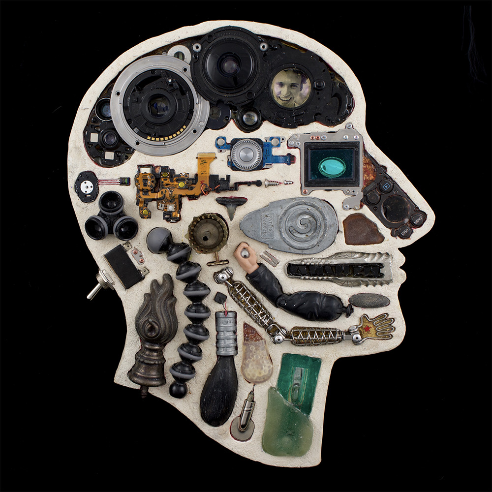 Assemblage Sculptures Of Anatomical Human Head Cross Sections By Edwige Massart And Xavier Wynn (16)