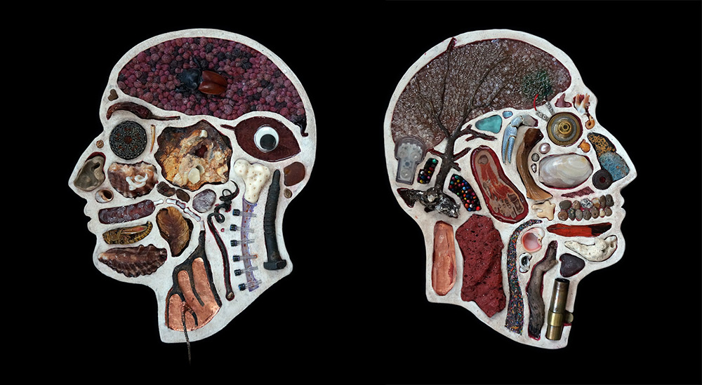 Assemblage Sculptures Of Anatomical Human Head Cross Sections By Edwige Massart And Xavier Wynn (5)